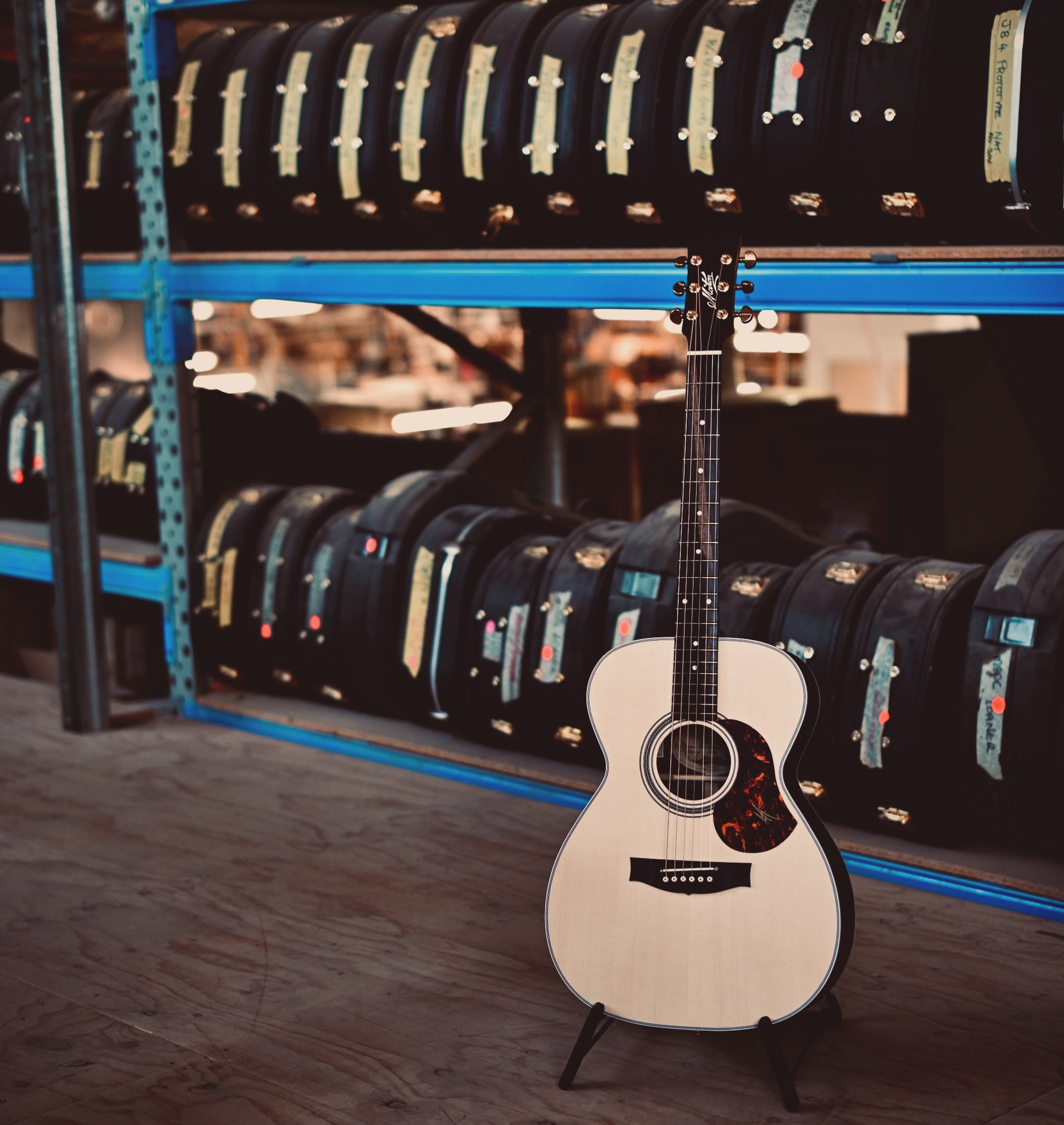 Maton - Check out Steilberg String Instruments, our new Maton