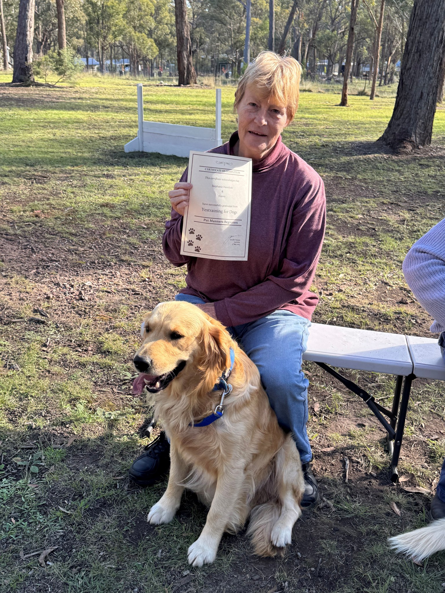 Yestraining for Dogs | Invergowrie NSW