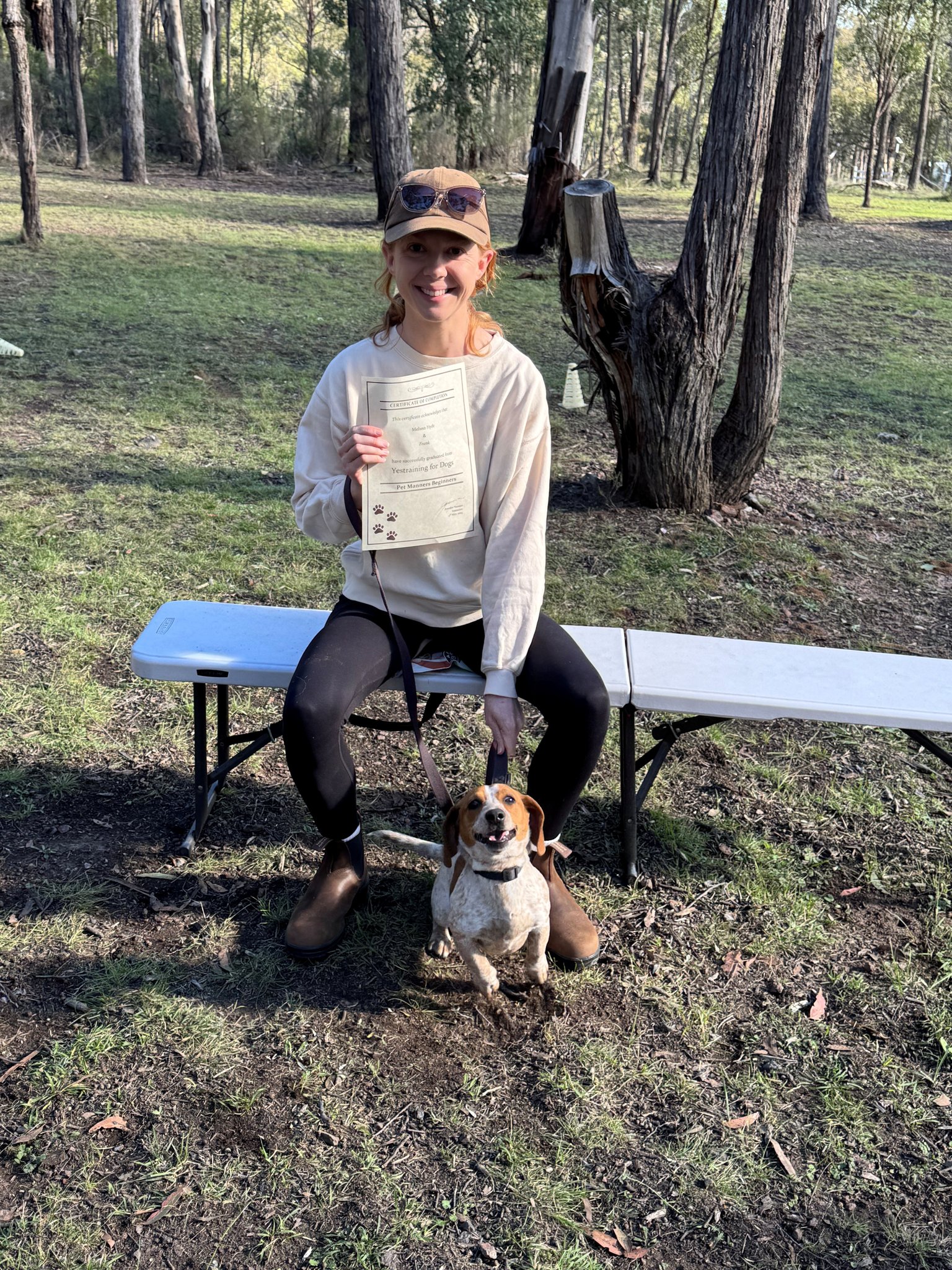 Yestraining for Dogs | Invergowrie NSW