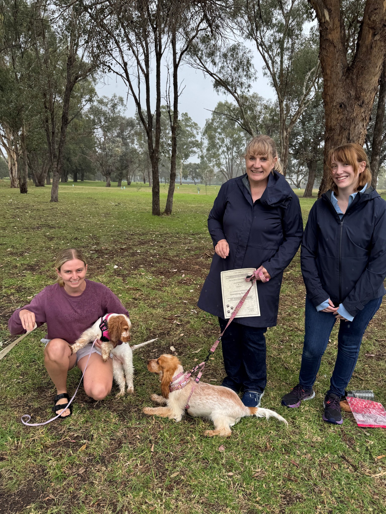 Yestraining for Dogs | Invergowrie NSW