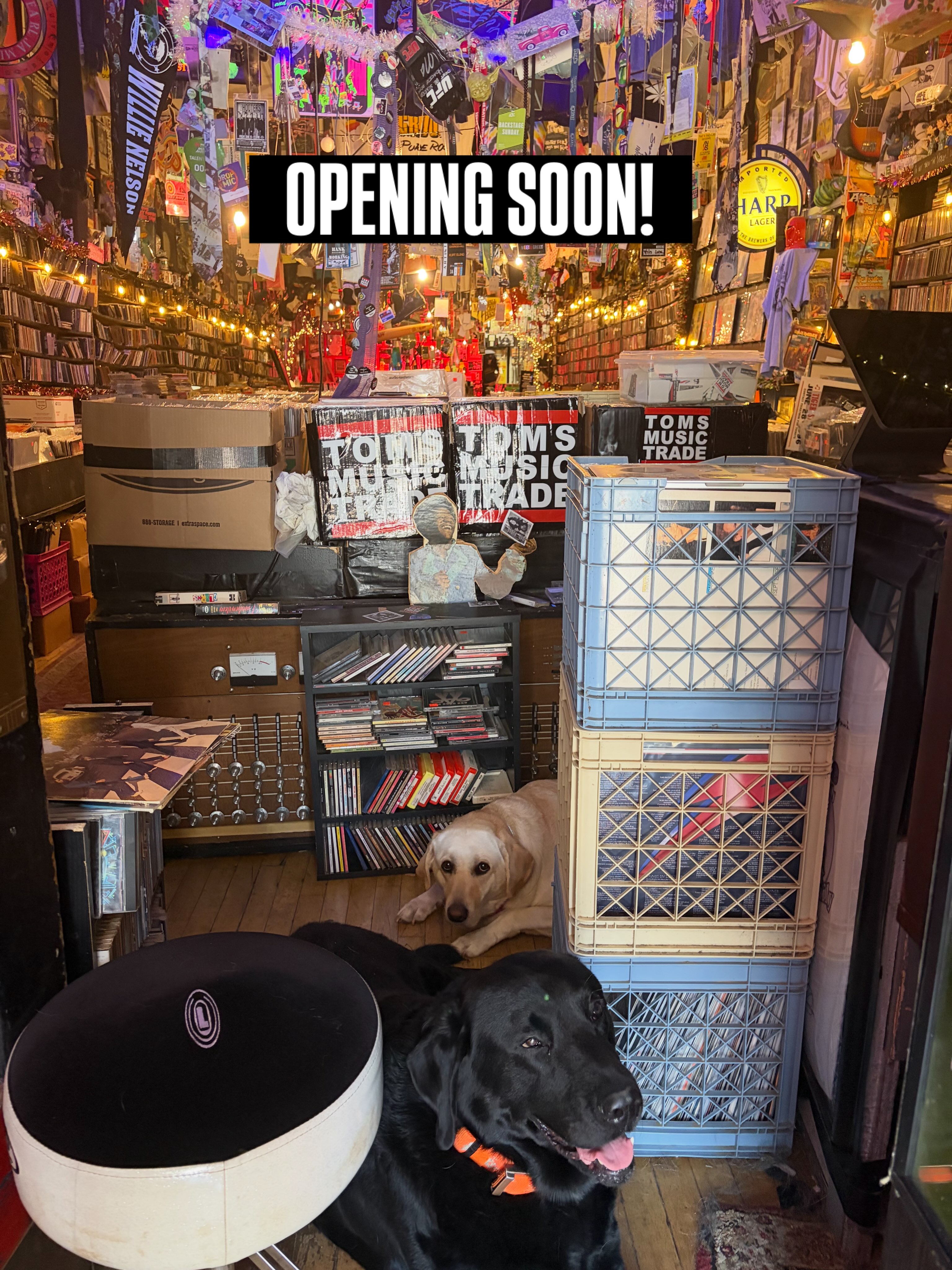 TOMS - Don't forget, Thursday's I'm now open late! 11-7 | Facebook