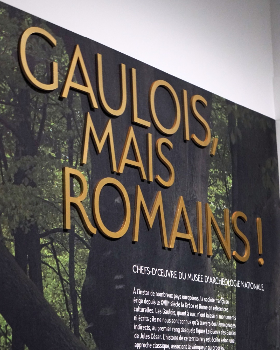 Musée de la Romanité -... - Musée de la Romanité - Nîmes