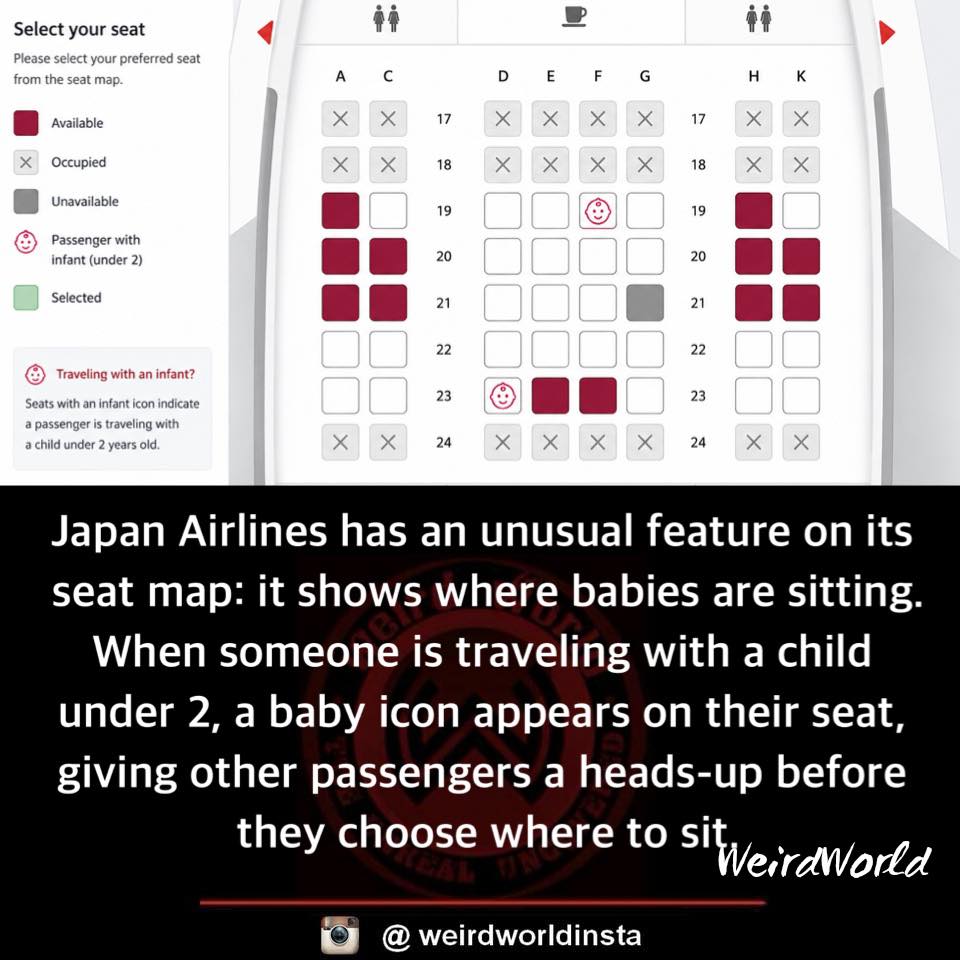How to view Japan Airlines flight details and choose seat