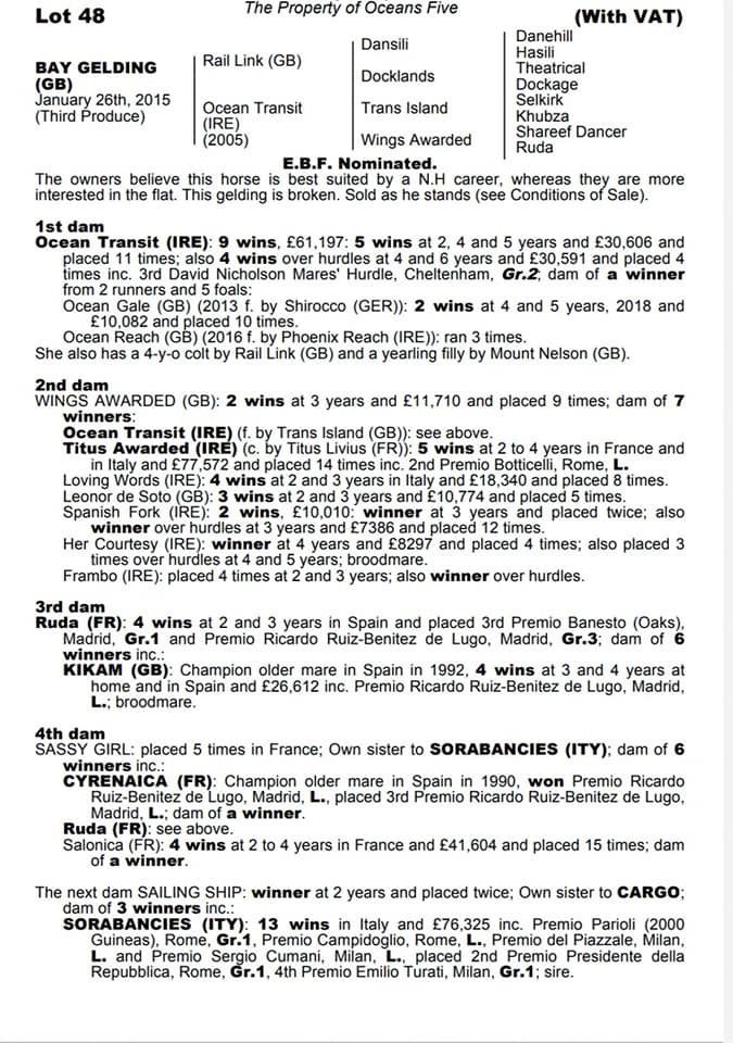 Richard Price Horseracing | Hereford