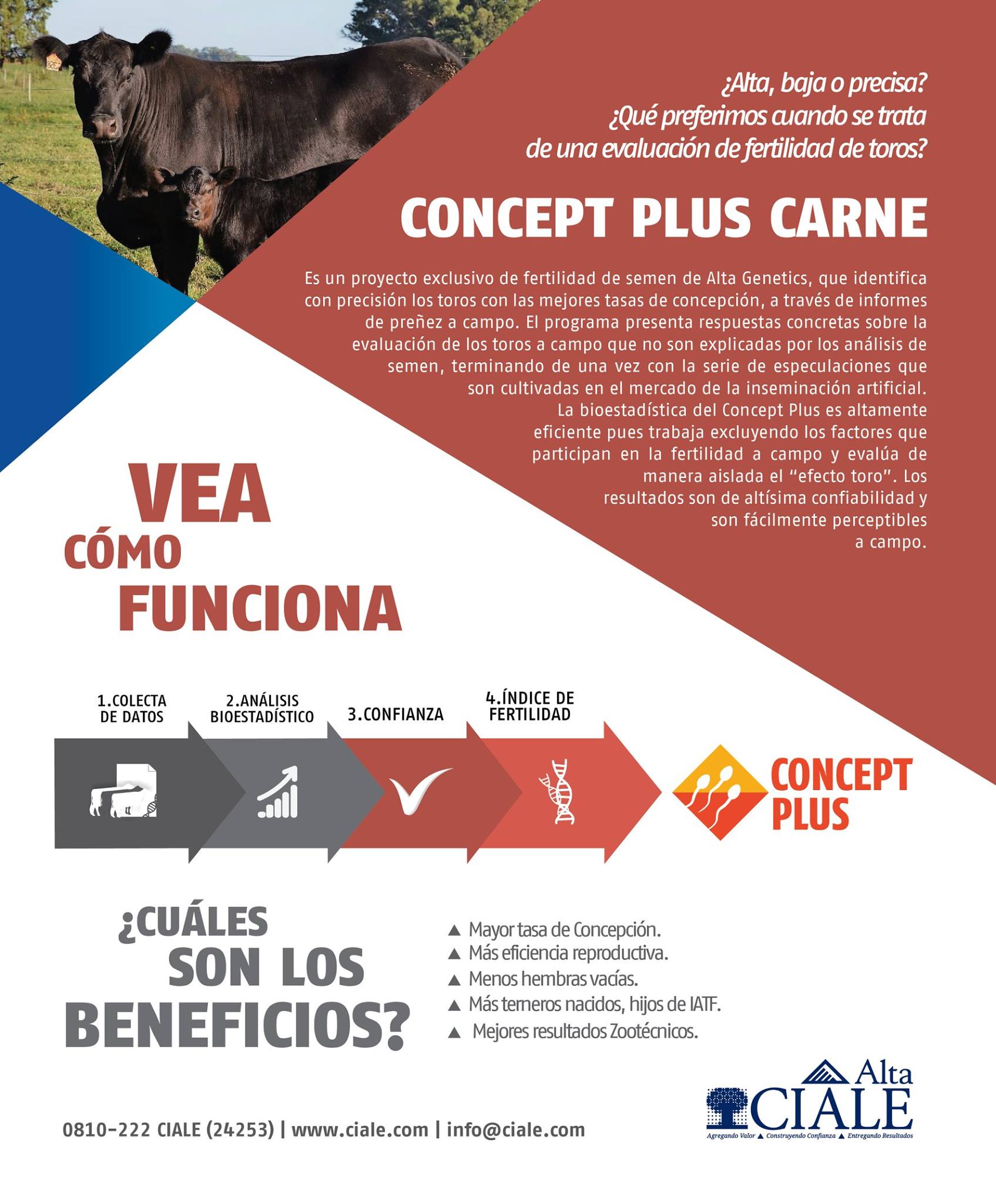 CIALE Alta - Te presentamos le listado de toros CONCEPT...