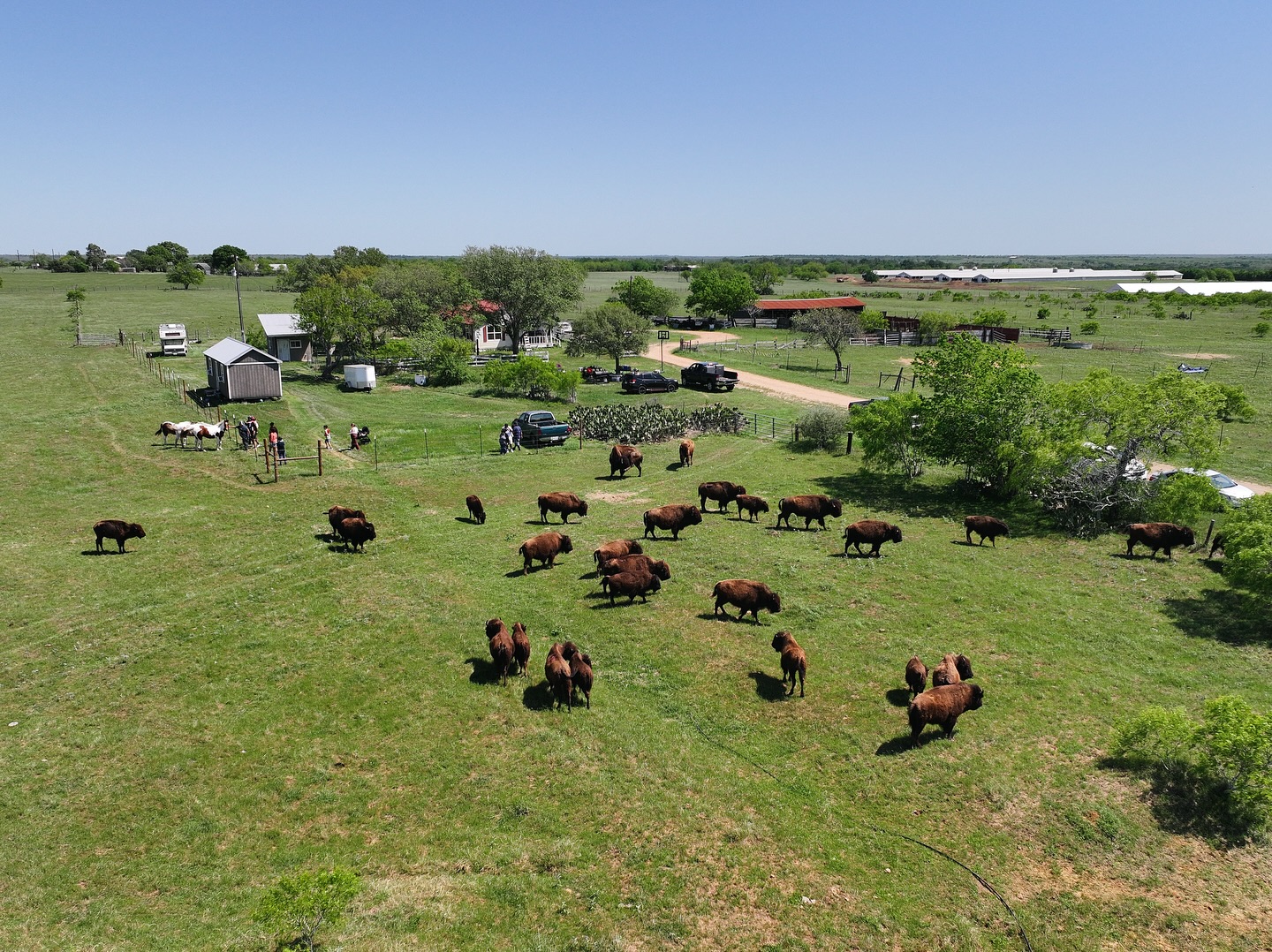 Open House Ranch Day