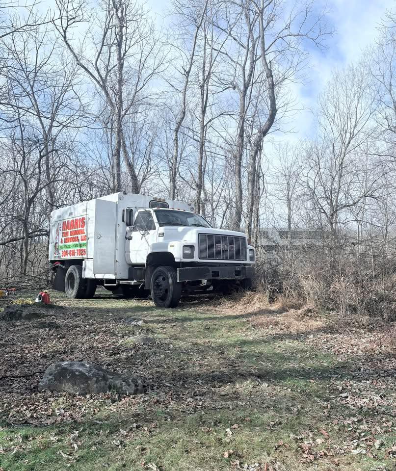 Harris Tree Removal and Services