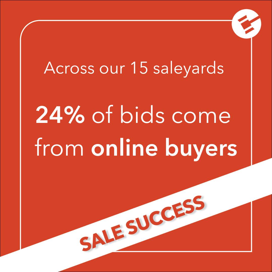 bidr - 📢 Big Uptake, Big Results across our 15 saleyards nationwide📢 ⭐ ...