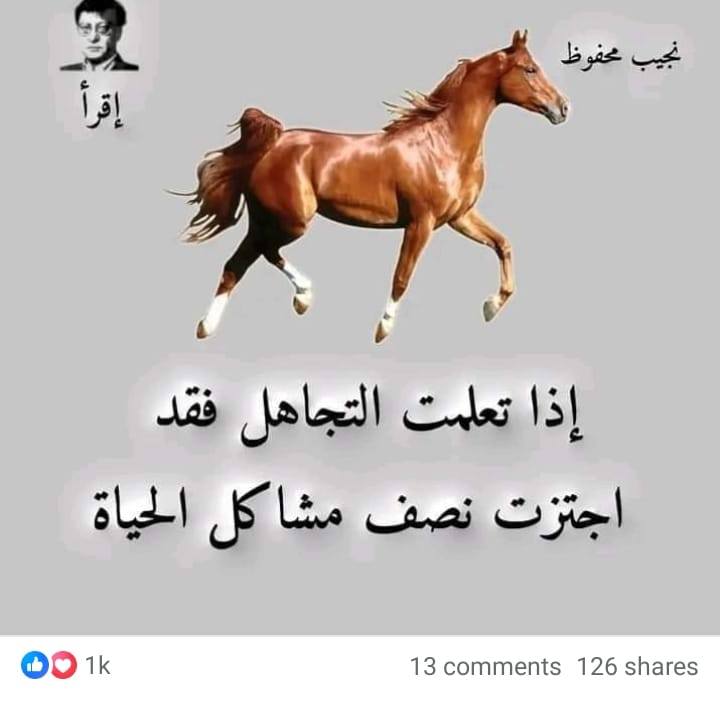 Hmblyo hmblyo walashay ina ader tay nasro macalin cabdi sh maxamed sh ...