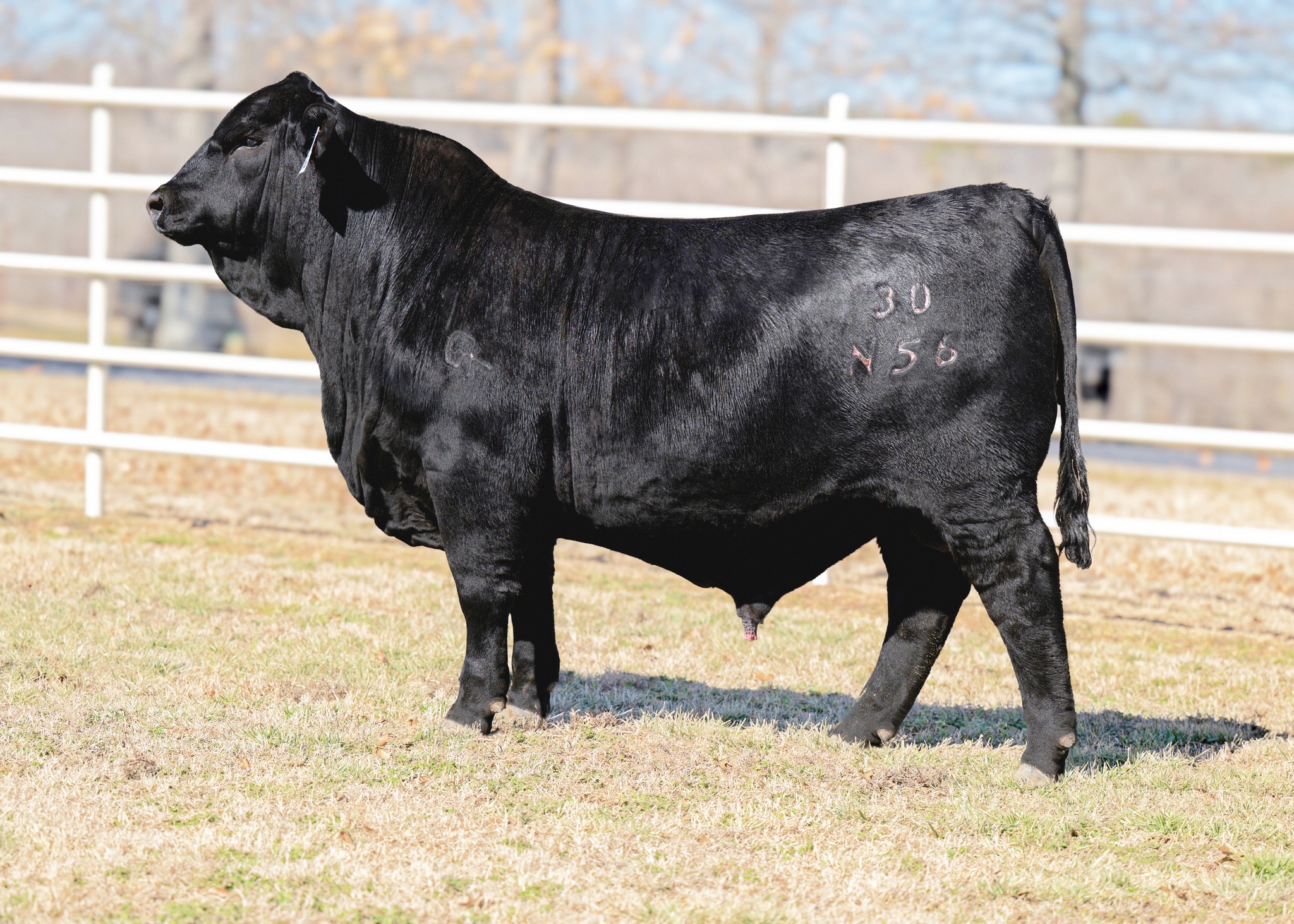 We are officially 2 WEEKS away from sale day at Chimney Rock and