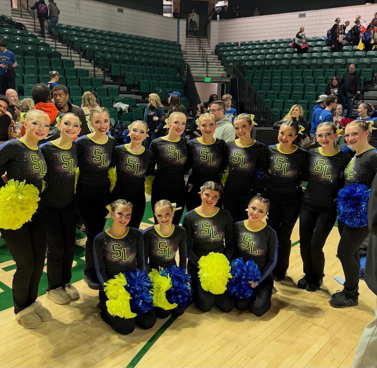 South Lyon Varsity Pompon