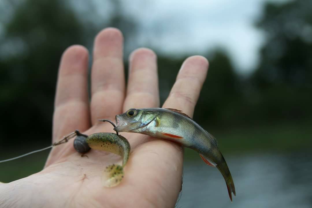 Fish-Mir.com - рыболовный интернет магазин. | Kharkiv