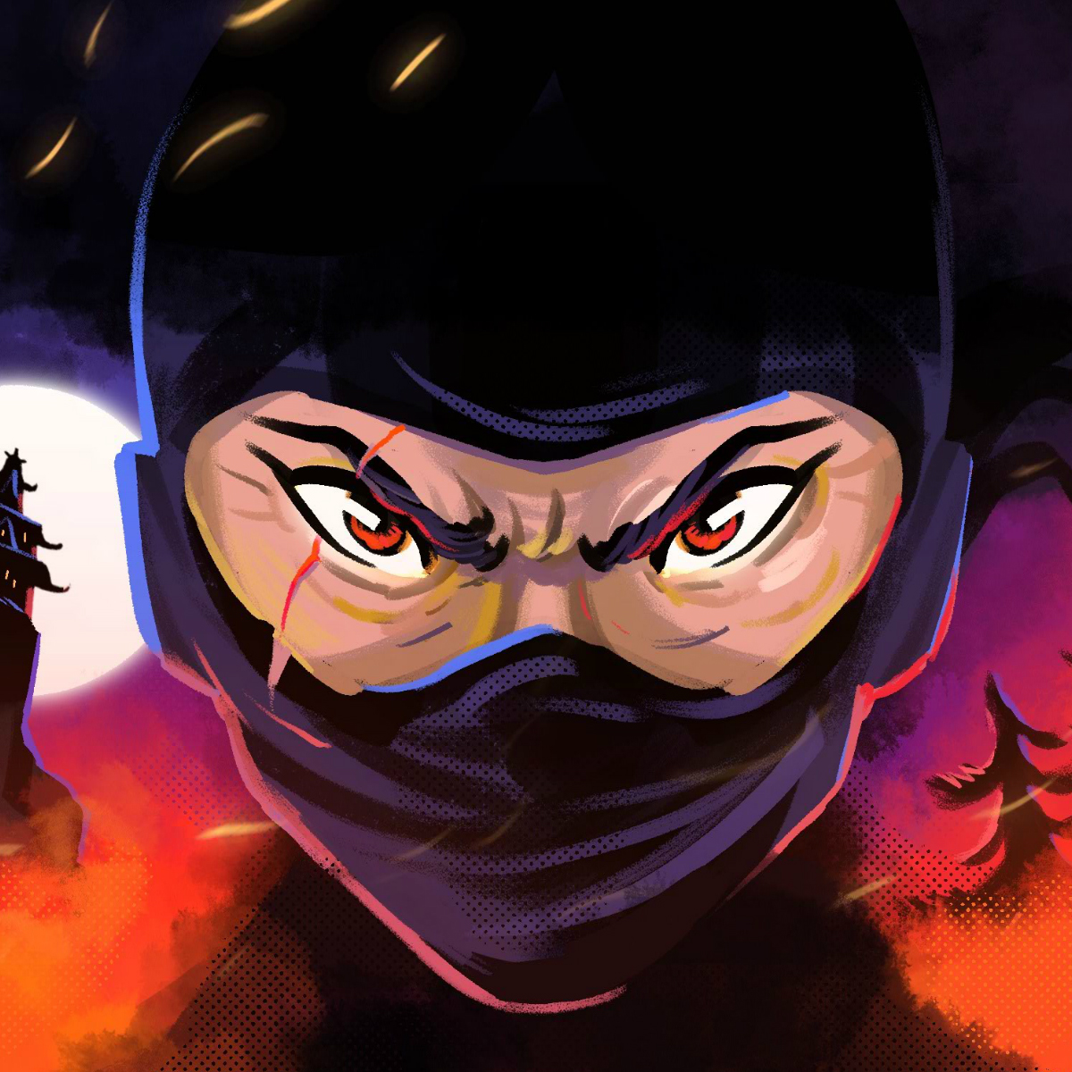 The ninjas never existed. At least not the way you think. The real 