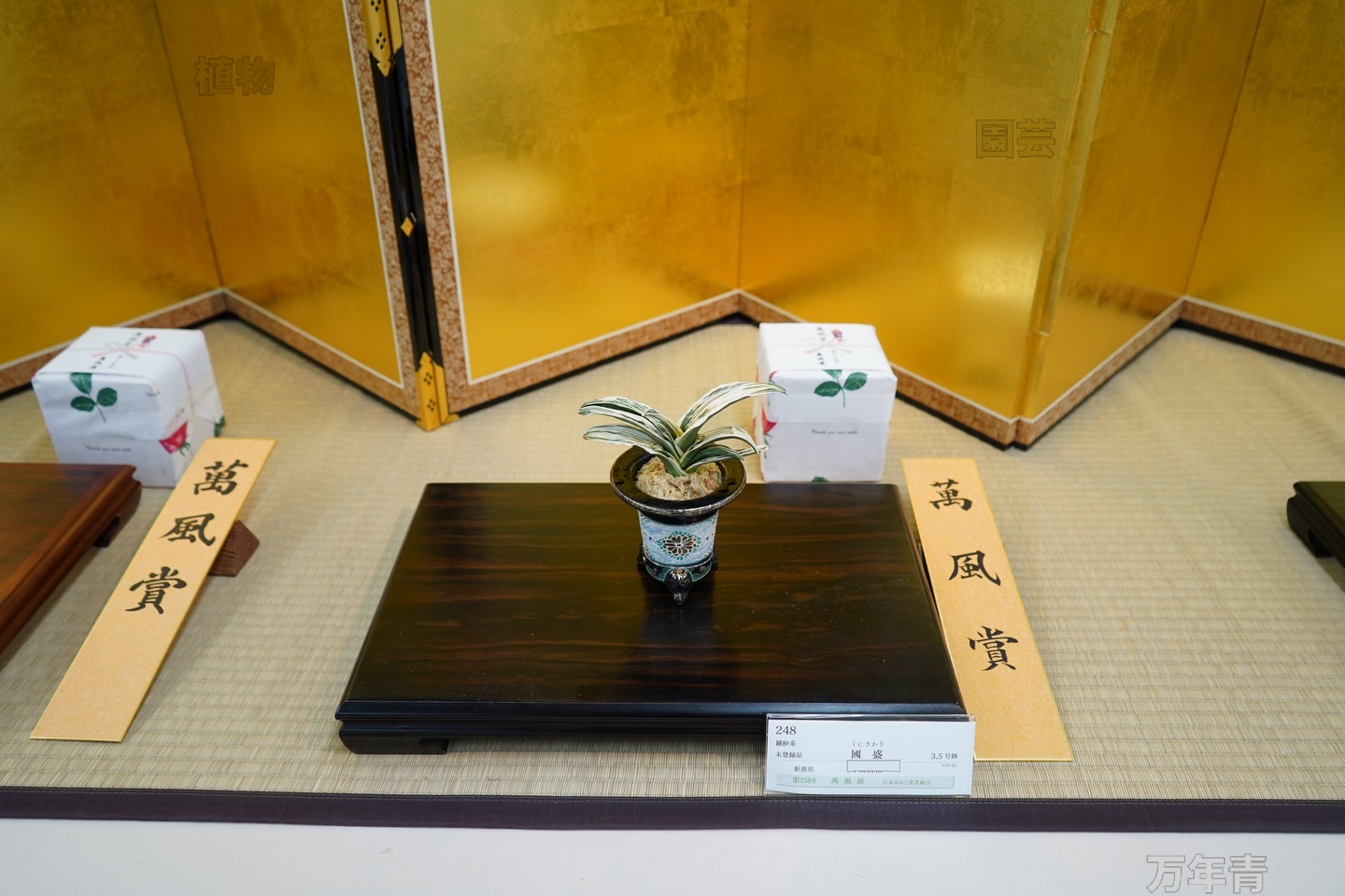 田哲園（たてつえん） | Nagano-shi Nagano