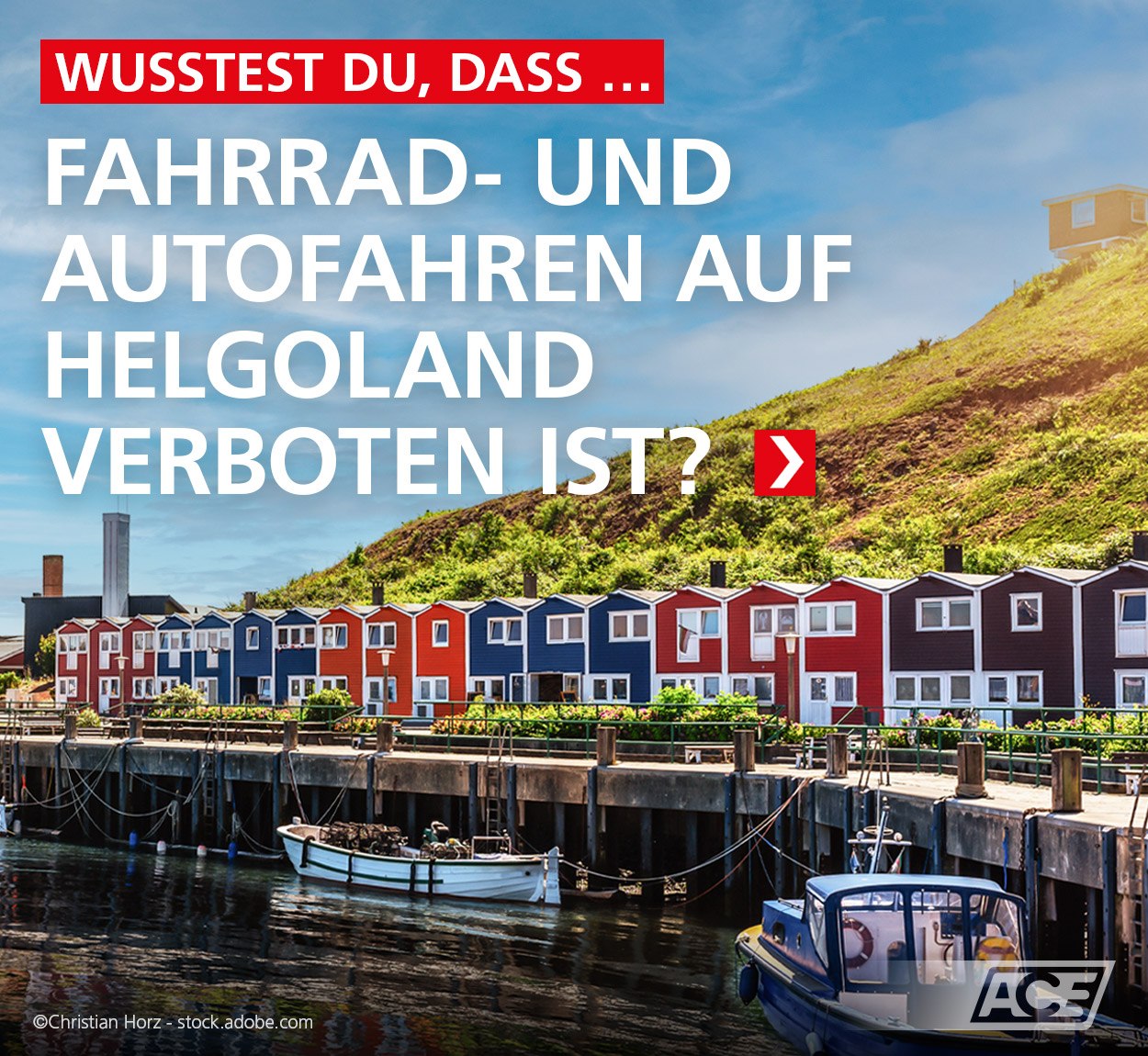 bissfeste handschuhe kaufen AONAYO 1 Paar Handschuhe,Dornenfeste Handschuhe,Bissfeste Katze,Anti Kratzer Trainingshandschuhe,Anti-Biss Arbeitshandschuhe,Gartenhandschuhe,Schützen Sie Ihre Hände Vor Bissen bei Günstiger Preis AUSWAHL:Links Unterstützung ofx racing 👉🏼PfauTec Scoobo+ mit Bosch