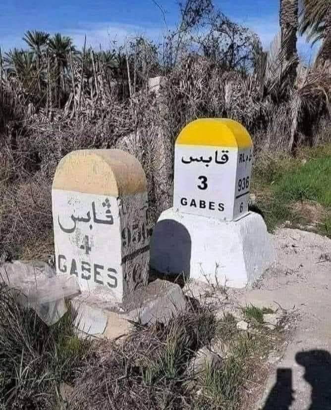 ماكش تونسي كان ما ... | كان تتكلّم بال 