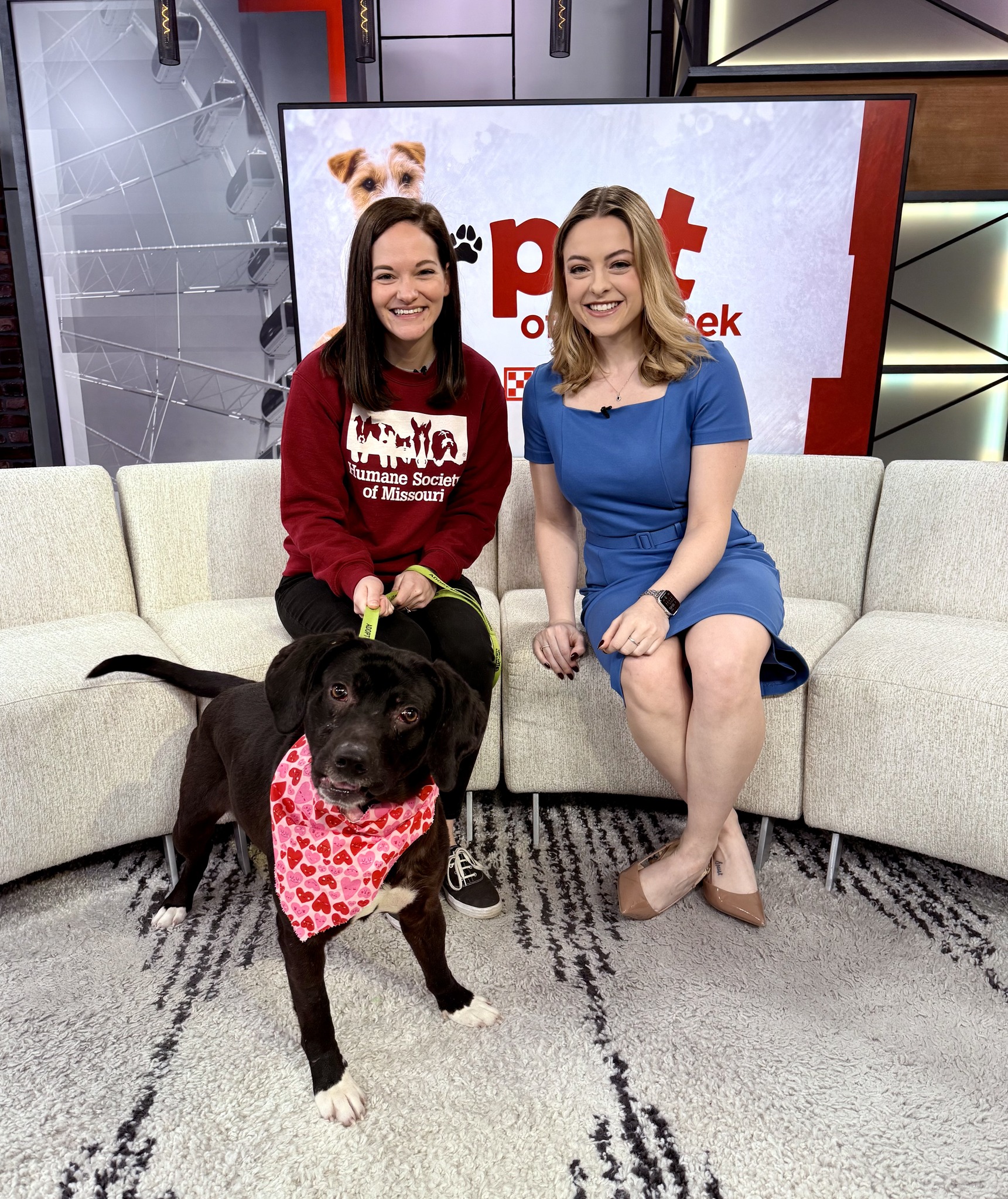 Meghan - Just wrapped up a 'Pet of the Week' segment sponsored by ...