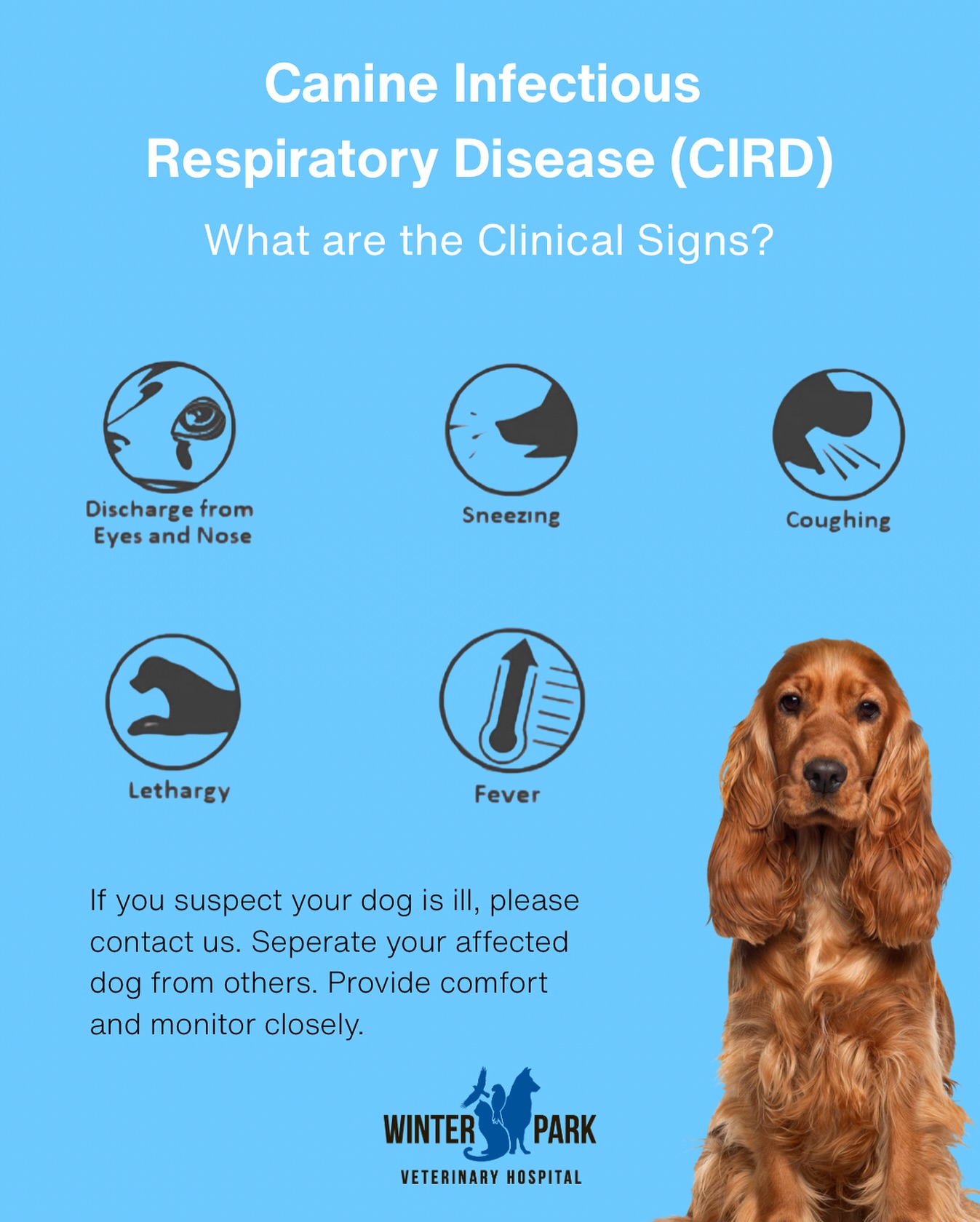 Winter Park Veterinary... - Winter Park Veterinary Hospital
