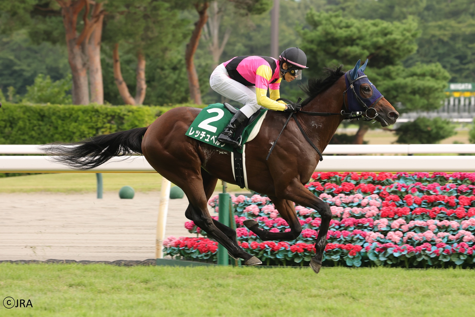 JRA（日本中央競馬会） - TOKIOのみなさんが出演している日本ダービー