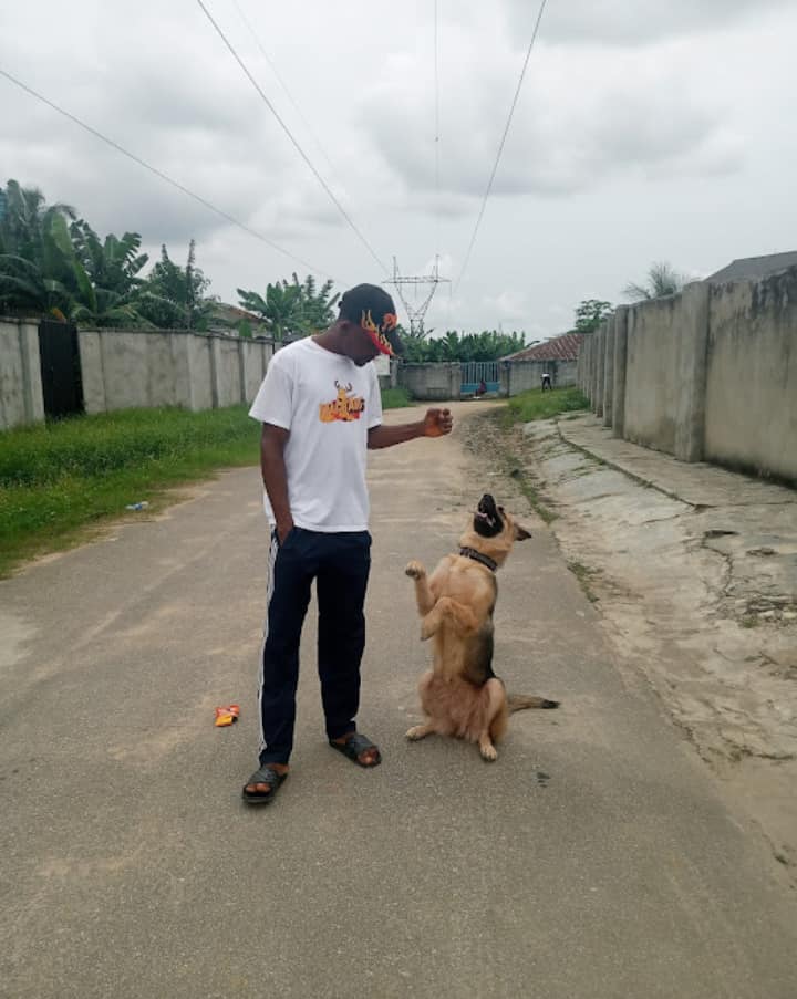 Dean smart DOGS foundation | Uyo Itam