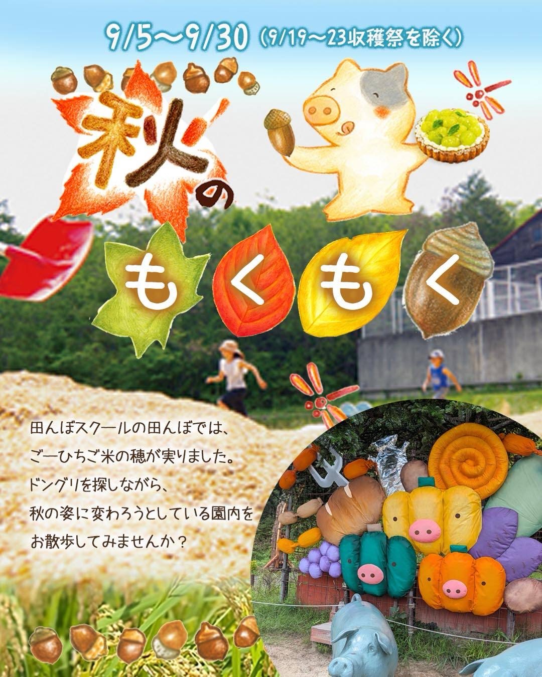 モクモクの春🌸】 4月のモクモクファームのおすすめを紹介します