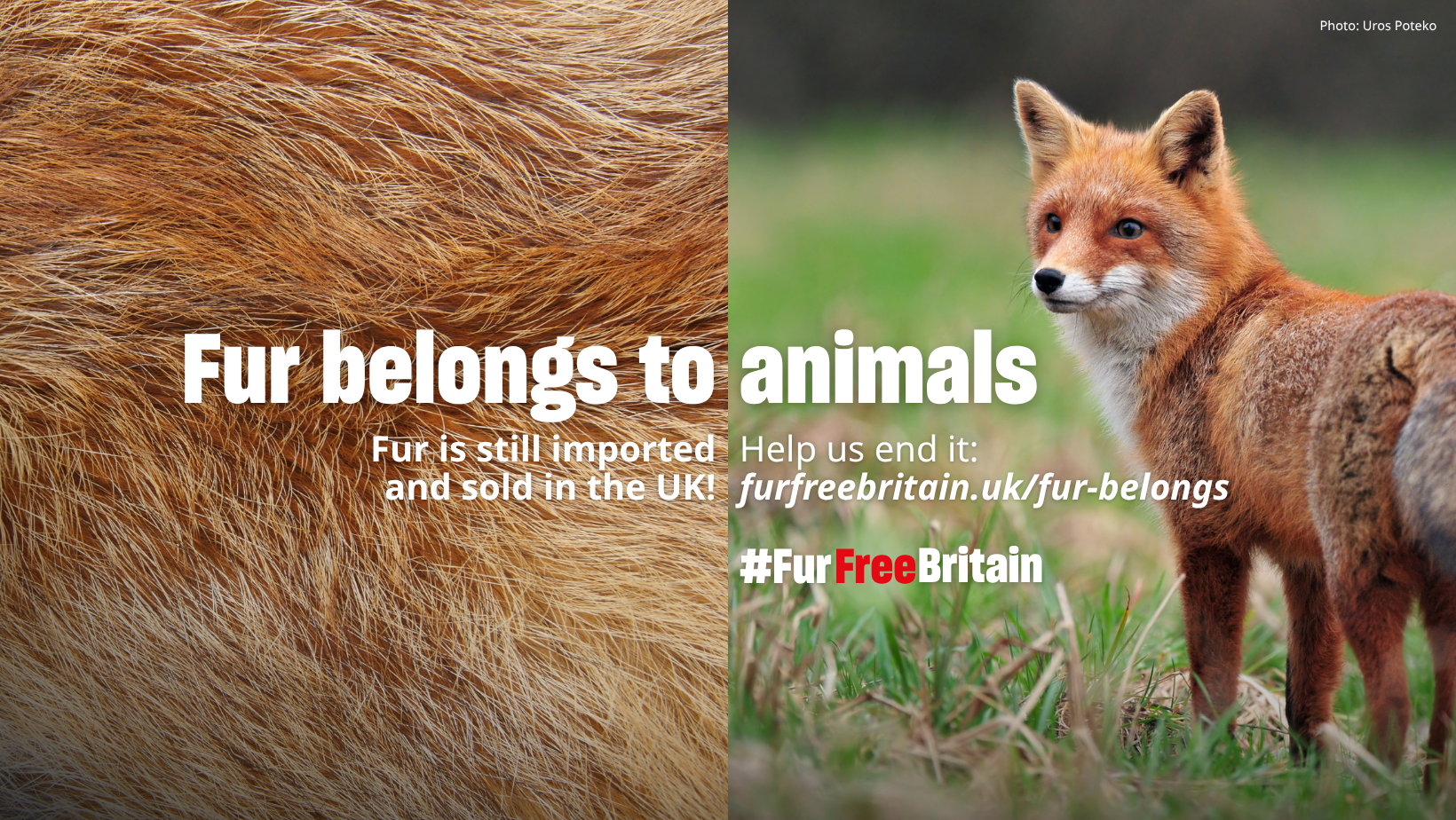 Humane World for Animals UK