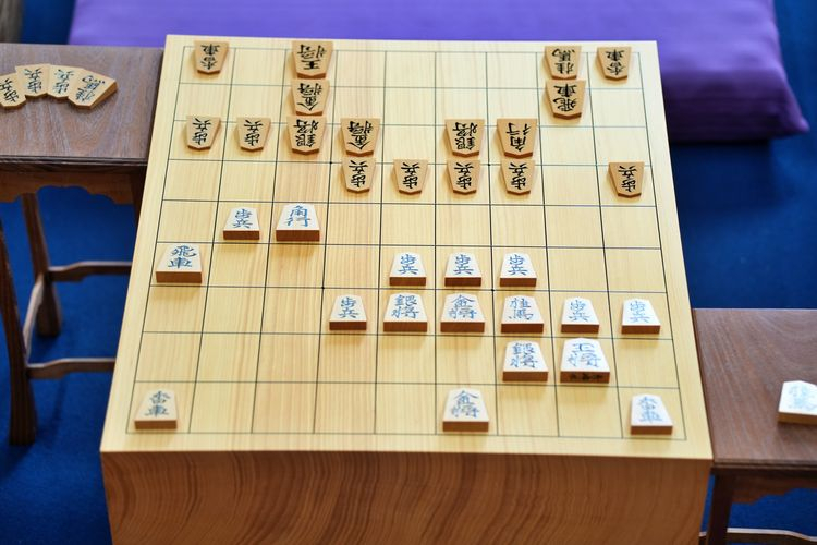 朗報～良尊師のブログが復活したようですね♪ 【熊澤良尊の駒三昧2