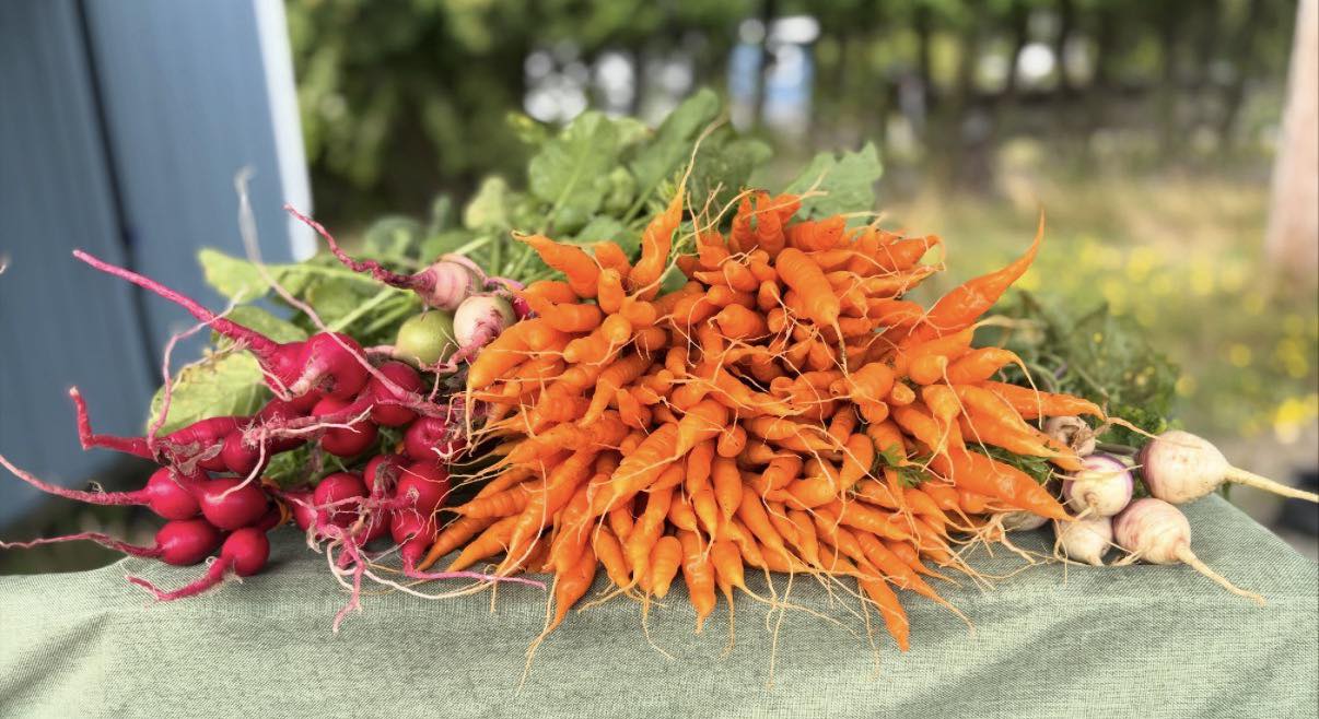 The Lone Pine Farm | Dover-Foxcroft ME