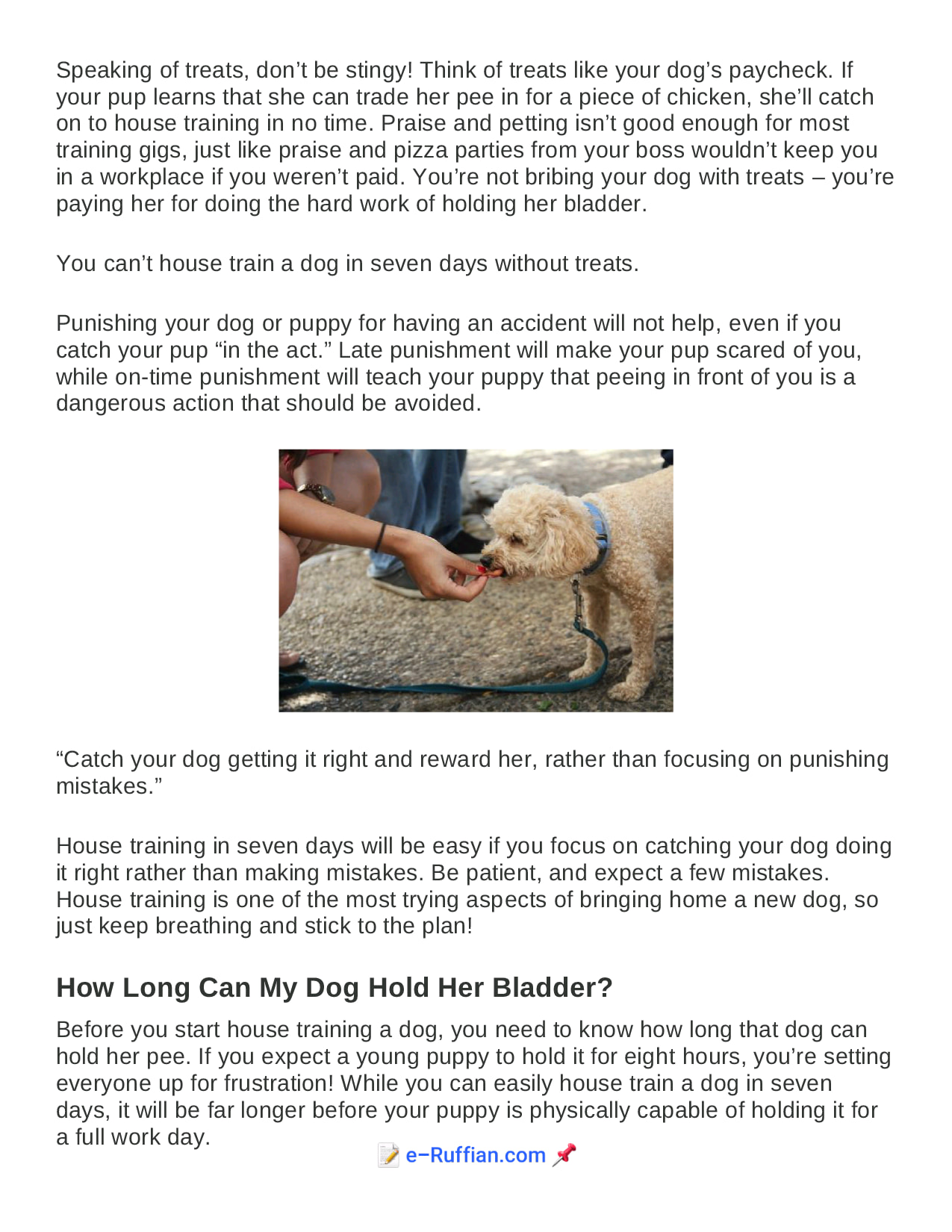 Oscar - How to House Train a Dog in Seven Days 📌 http://chat.whatsapp