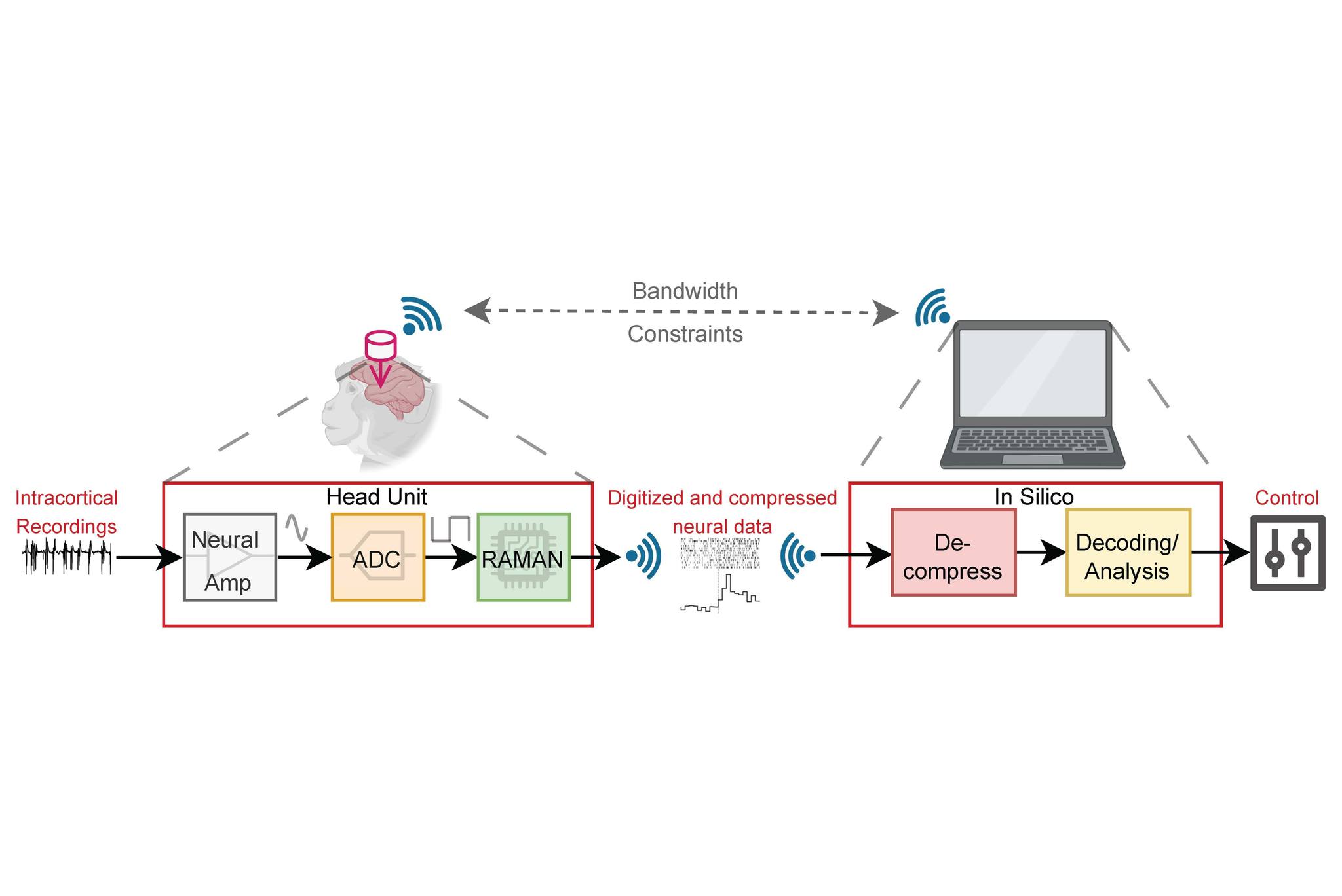 A new study from IISc introduces RAMAN, a tiny custom AI
