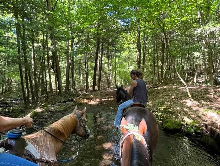 Mountain View Rocking B Ranch | Lake Luzerne NY