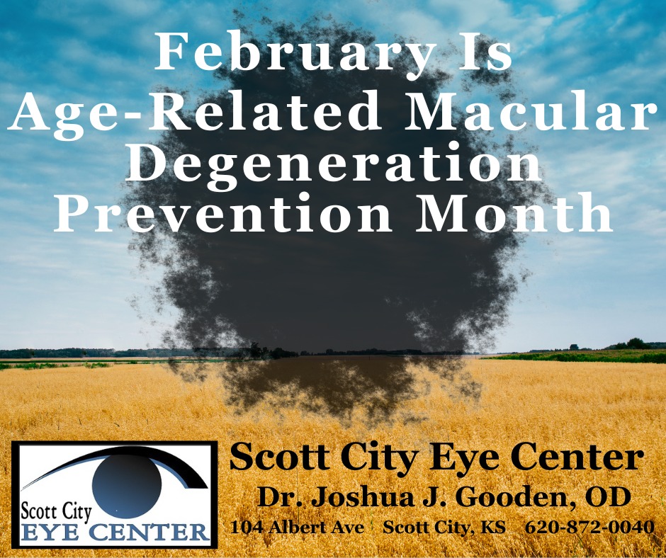 Scott - Macular degeneration causes a gradual or sudden loss of central ...