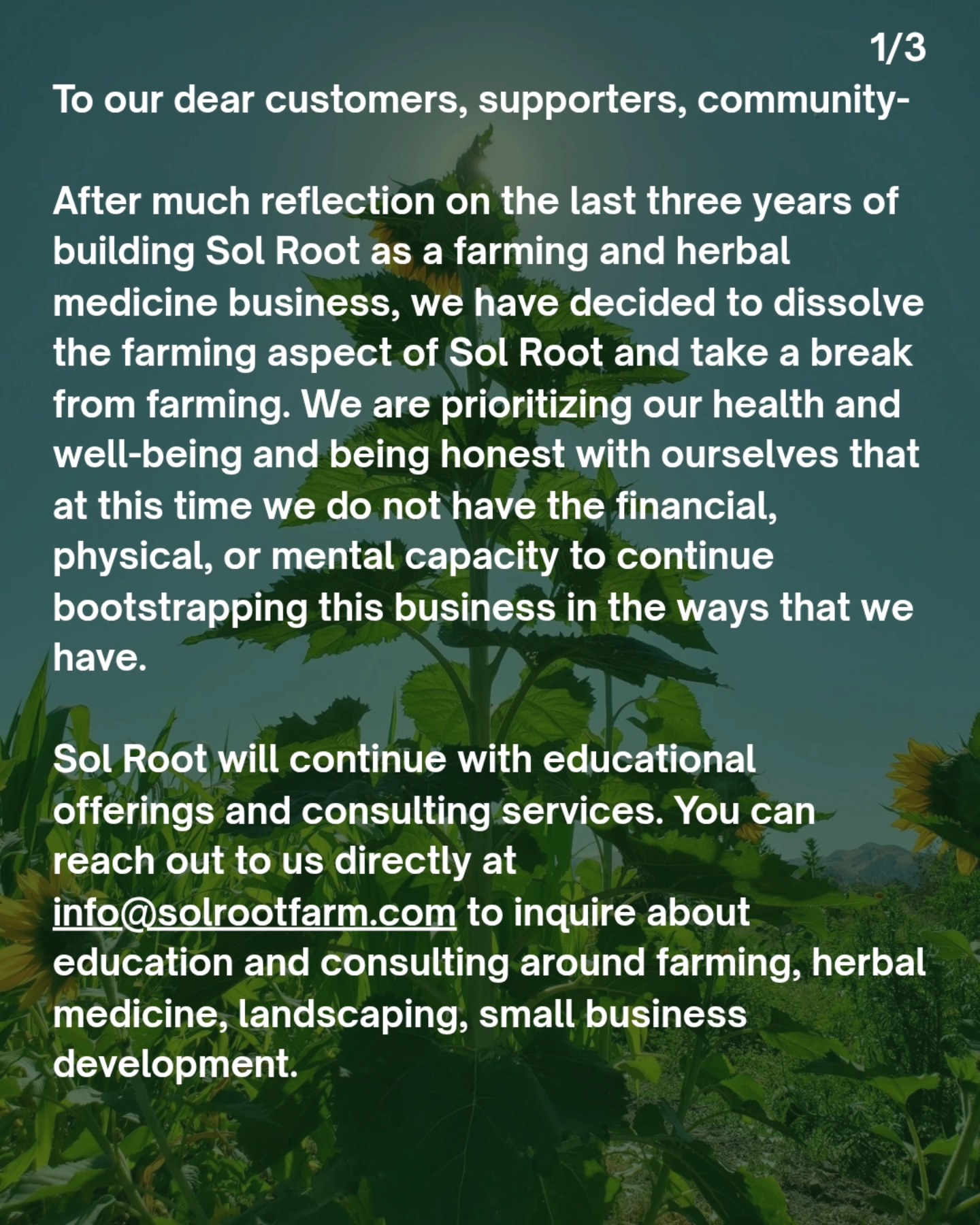 Sol Root