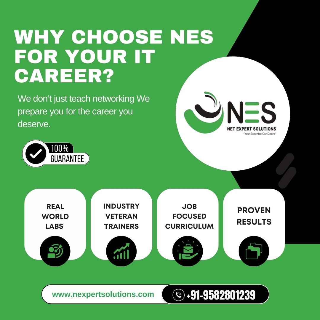 Net Expert Solutions | Noida