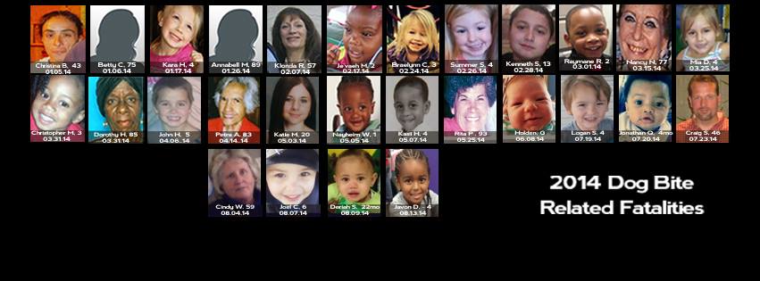 babybeaufoundation.org