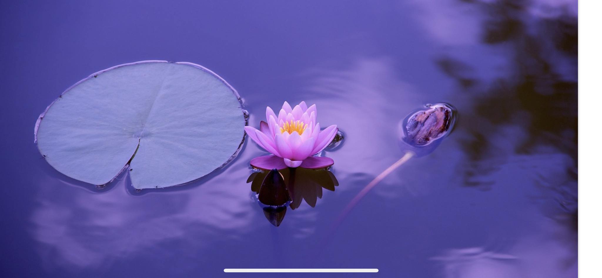 Zen-Pure Cleaning