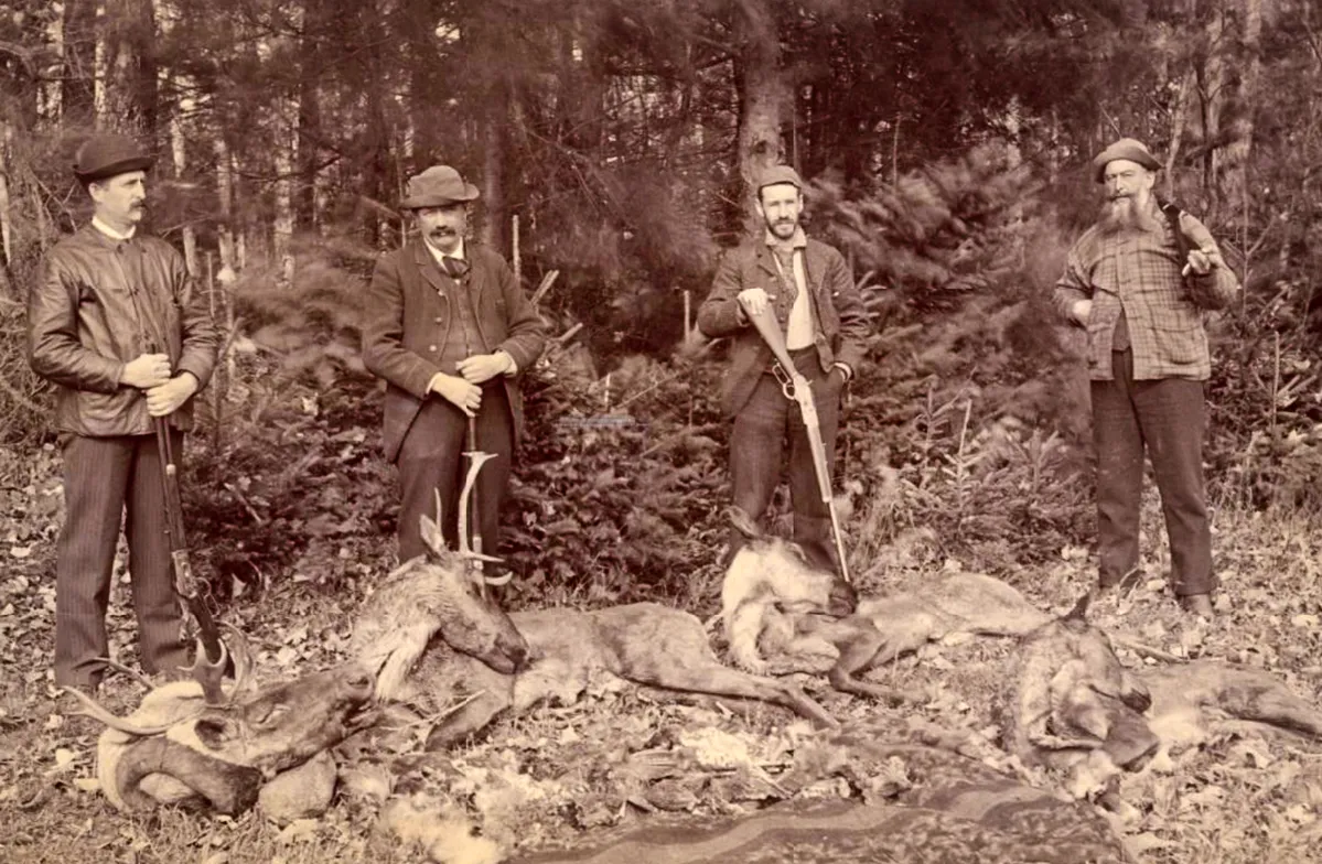Northeast - Four hunters stand over four caribou taken somewhere in the ...