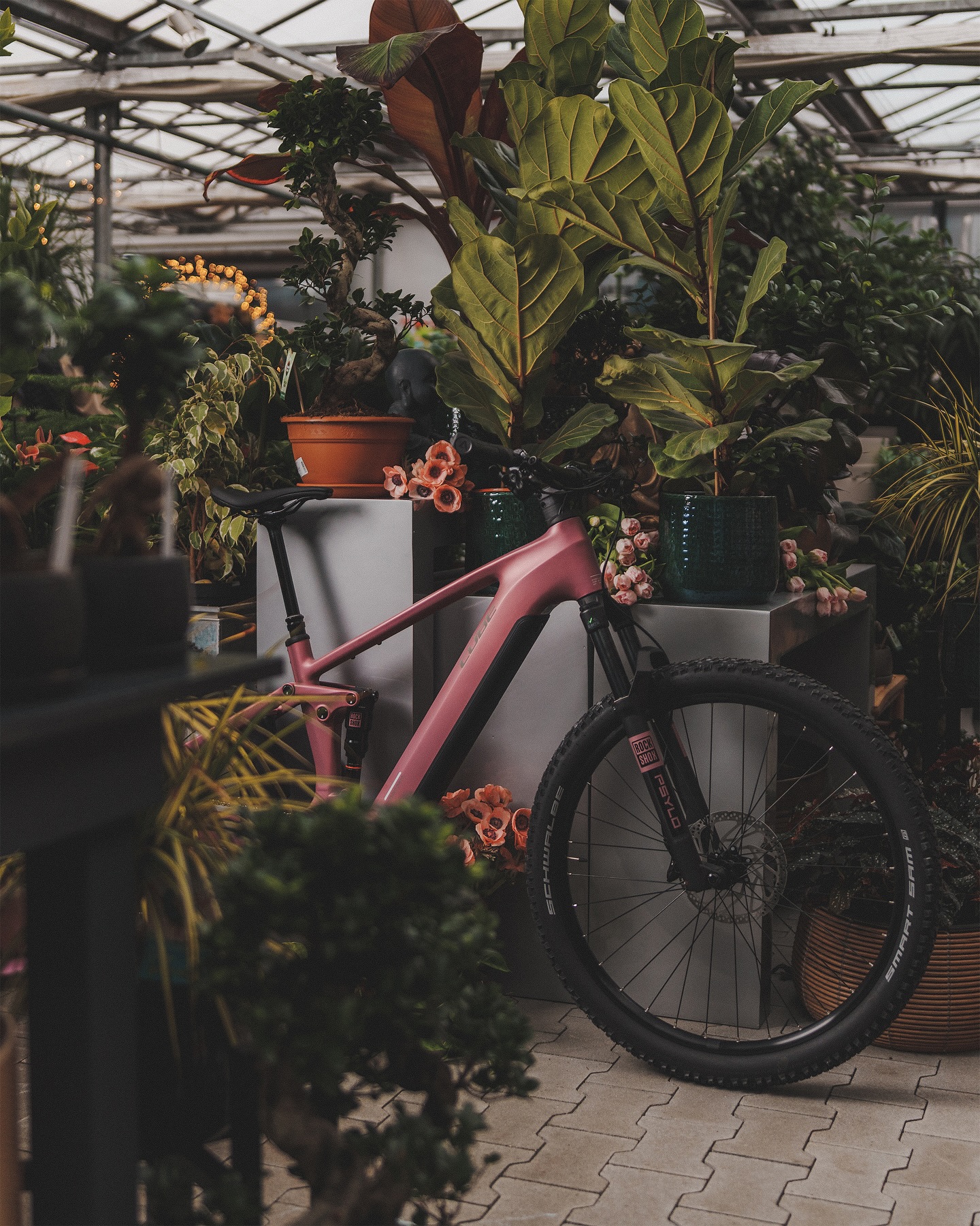 urban e bike mit riemenantrieb Das C3M ist ein besonders leichtes City E-Bike für die Stadt. – SachsenRAD AMATEUR APPROVED BOXING SETS Bikes Octane One Gridd Beleuchtung vorne und hinten?:mit Nabendynamo