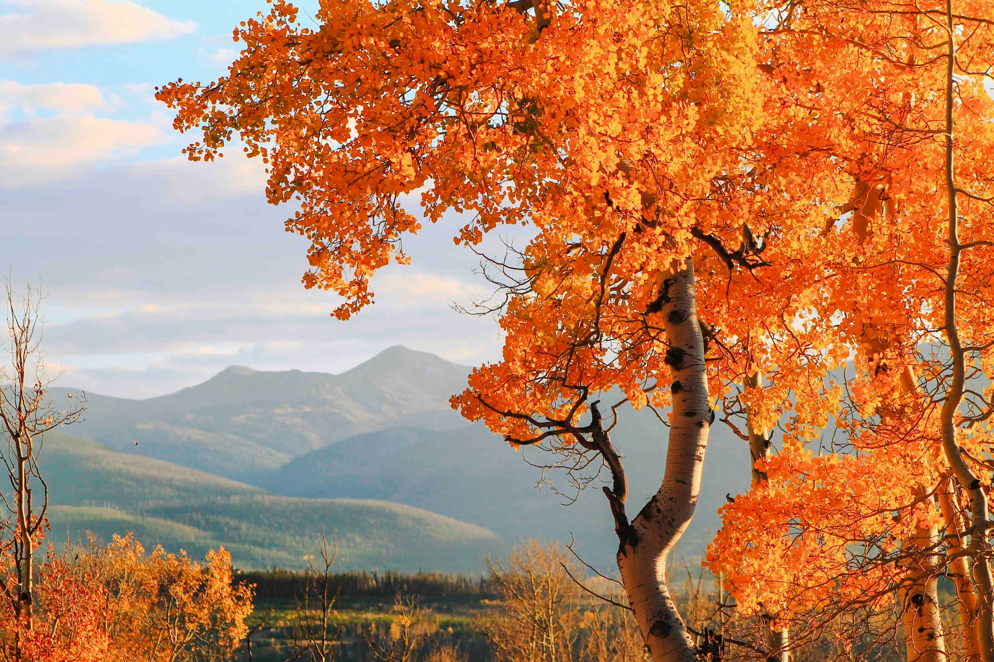 Devil's Thumb Ranch | Tabernash CO