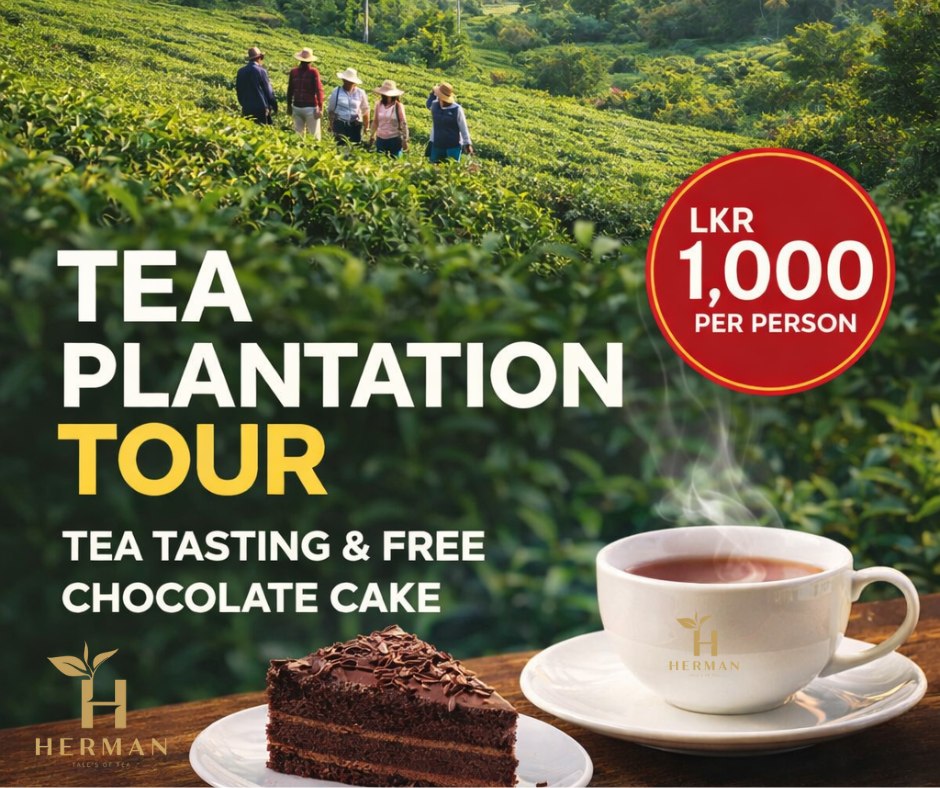 Herman - 🌿 See the beauty of Sri Lankan Southern Tea Plantations 🌿 Step ...