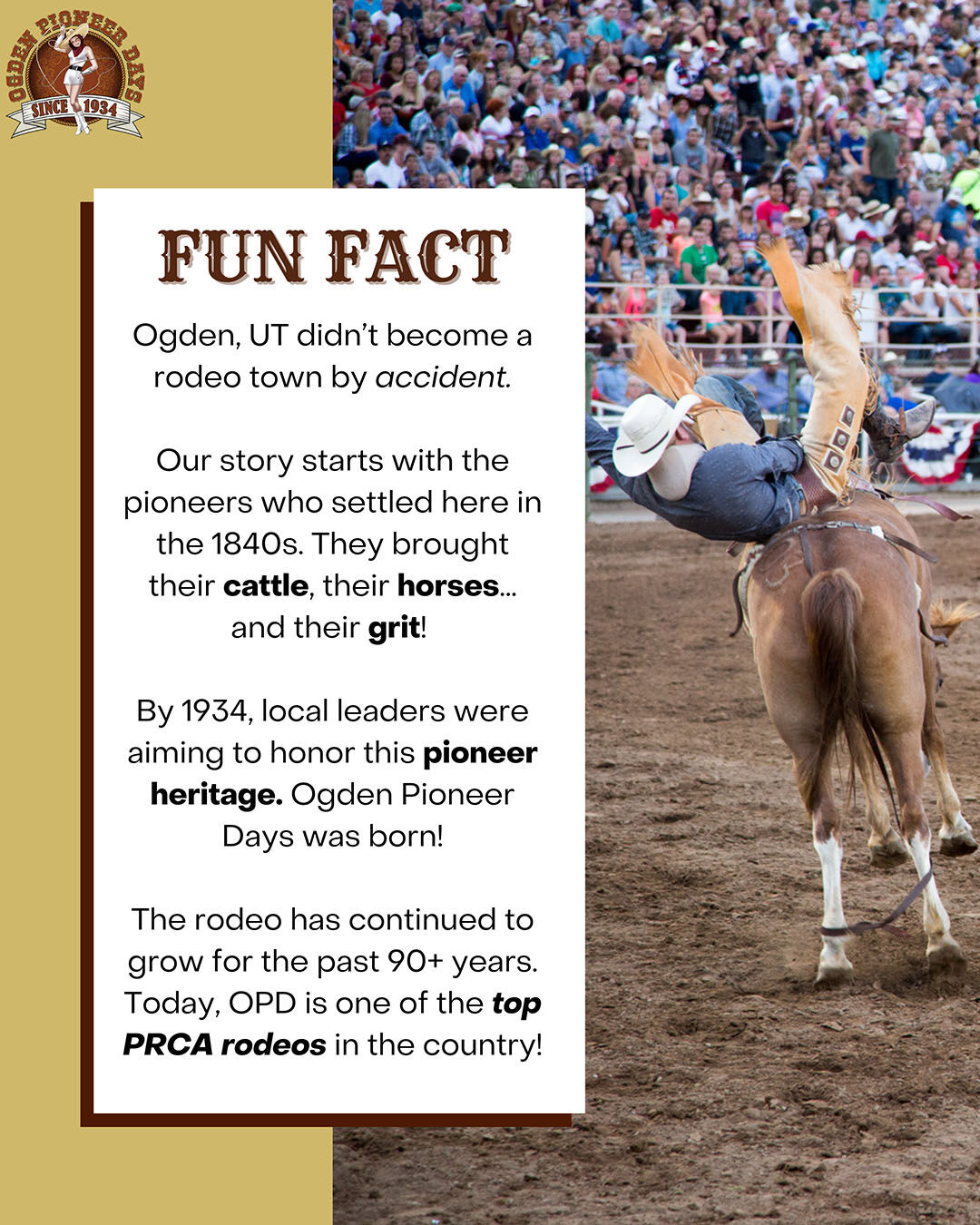 Ogden - Ever wonder why Ogden became such a rodeo town? It's not by ...