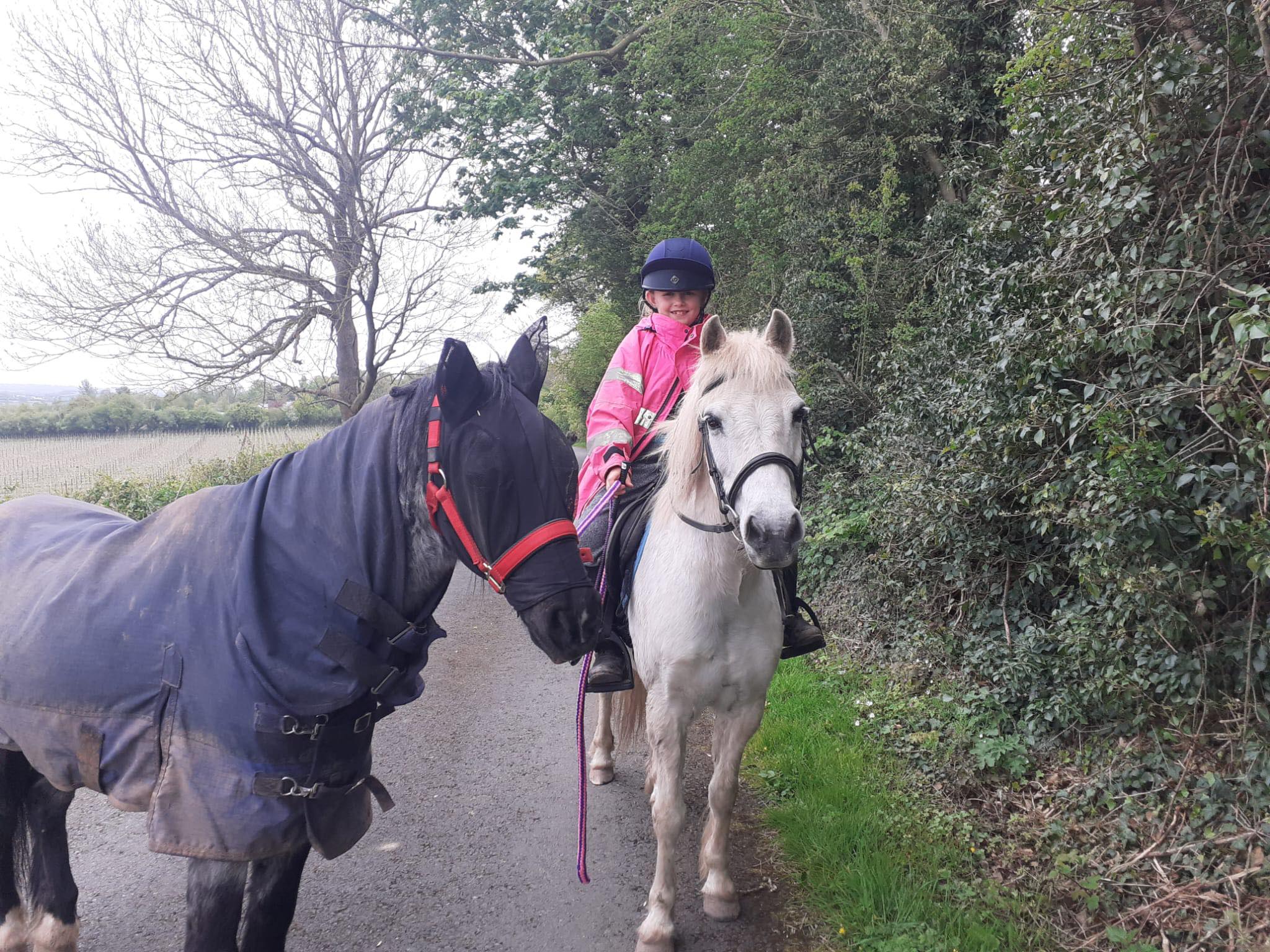 Putley Riding School | Hereford