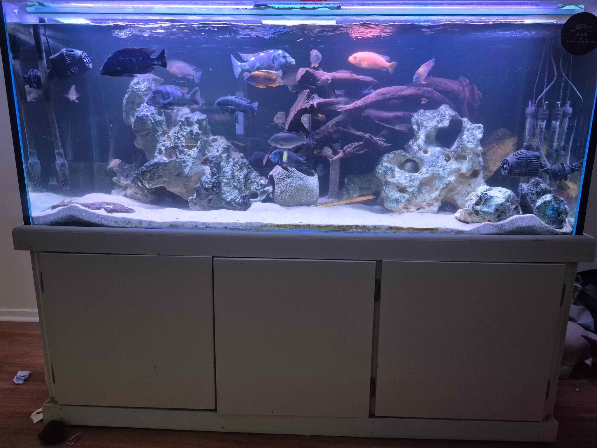 5ft x 2ft x 2ft Fish Tank Complete Set Up - Aquariums - Melbourne ...