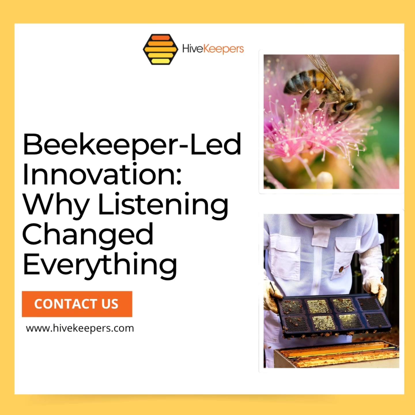 HiveKeepers - Beekeeper-Led Innovation: Why Listening Changed ...