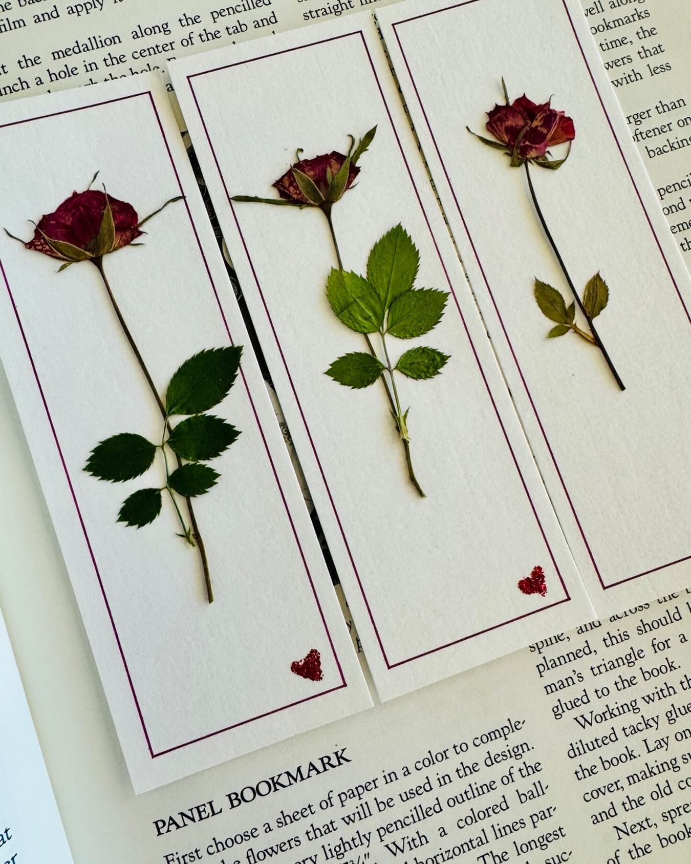 Patsy's Pressed Flowers
