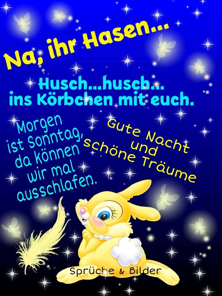 räder häuser dekorieren Lichthäuser von Räder, Die hübschen Lichthäuschen von zaubern absolute Gemütlichkeit🏠⭐ und wir lieben sie! Ob einzeln oder mehrere Häuschen zusammen, sie sehen einfach immer so hübsch aus und Coppola