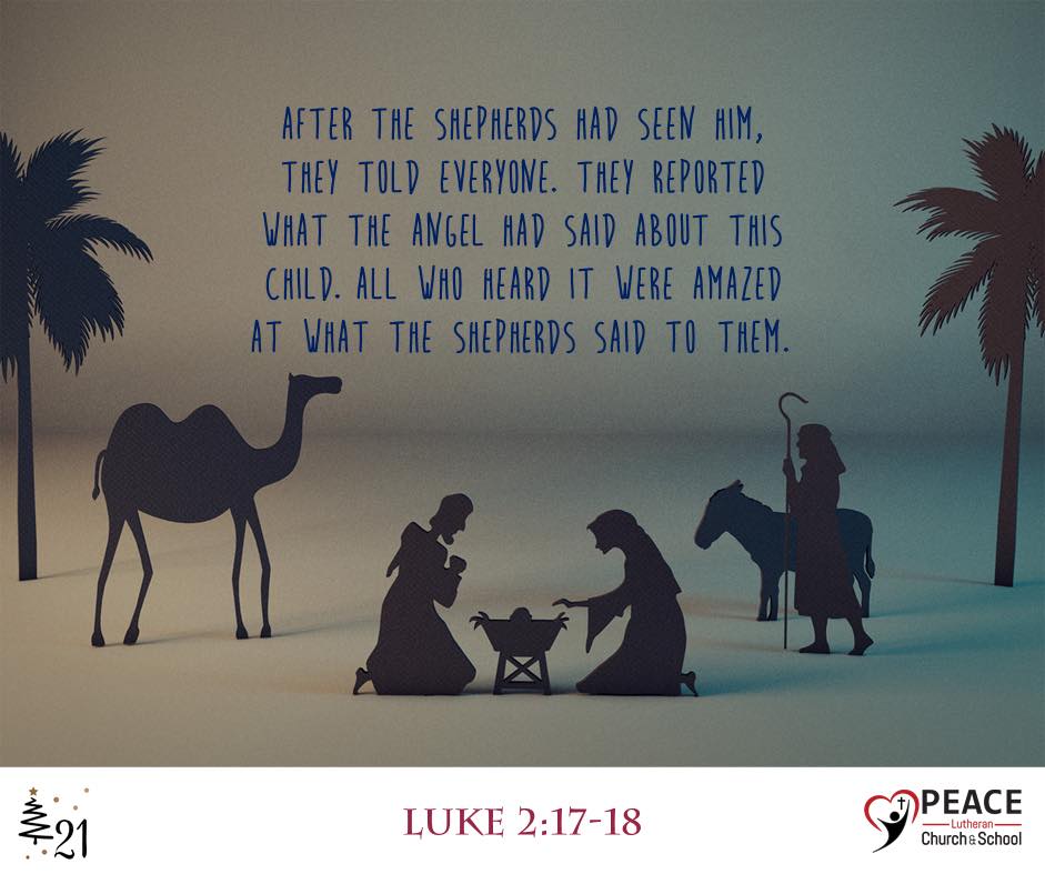 Peace - Daily Bible Verse: “After the shepherds had seen Him, they told ...