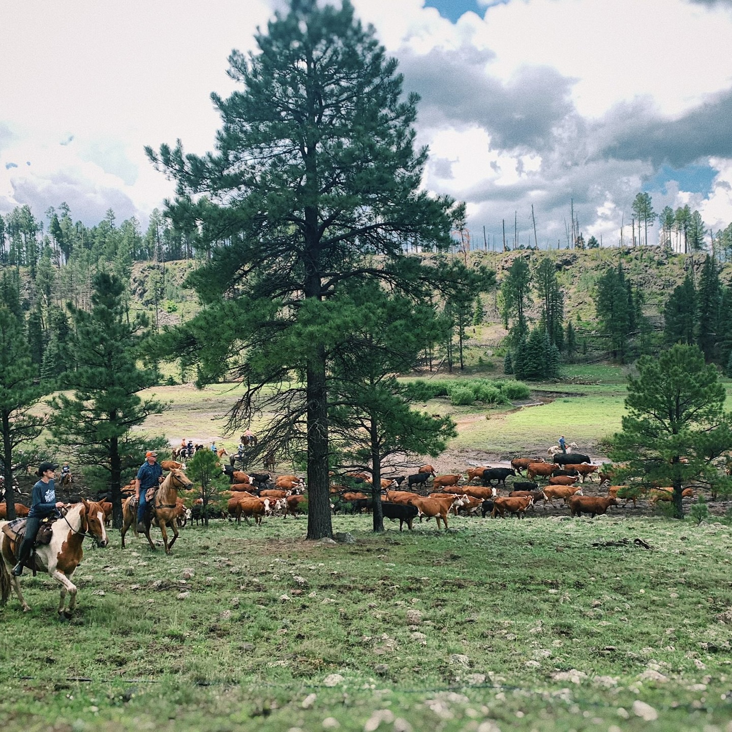 Sprucedale Guest Ranch added a... - Sprucedale Guest Ranch