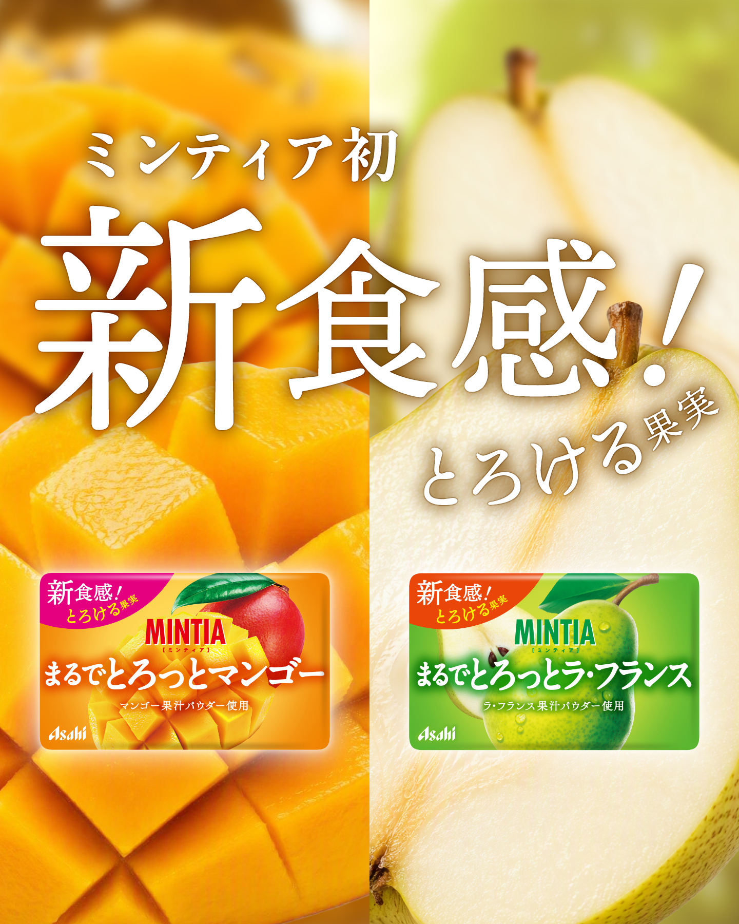 ☆♥MINTIA ♥☆ ミンティア (@mintia.jp) • Facebook