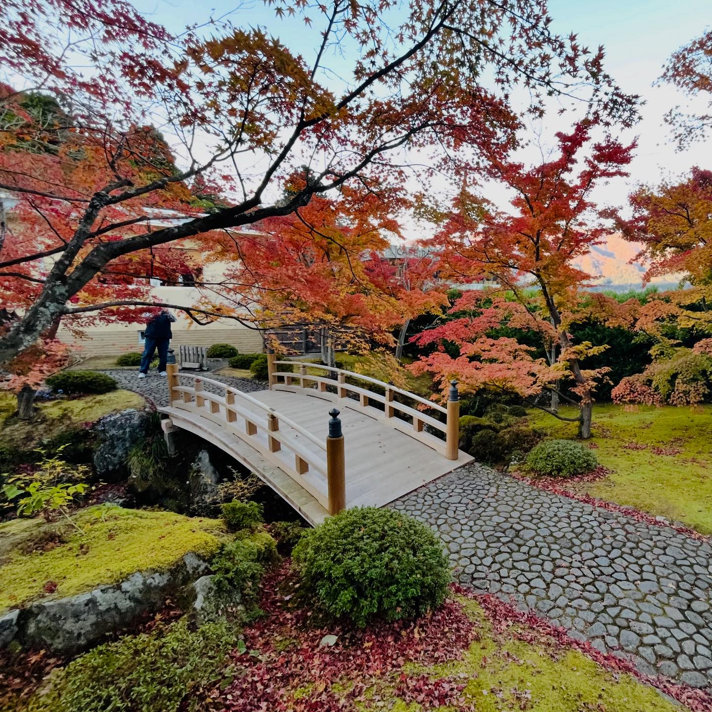 箱根美術館庭園 #岡田茂吉 #神仙郷 #石楽園の紅葉 #観山亭 #神山荘 #山